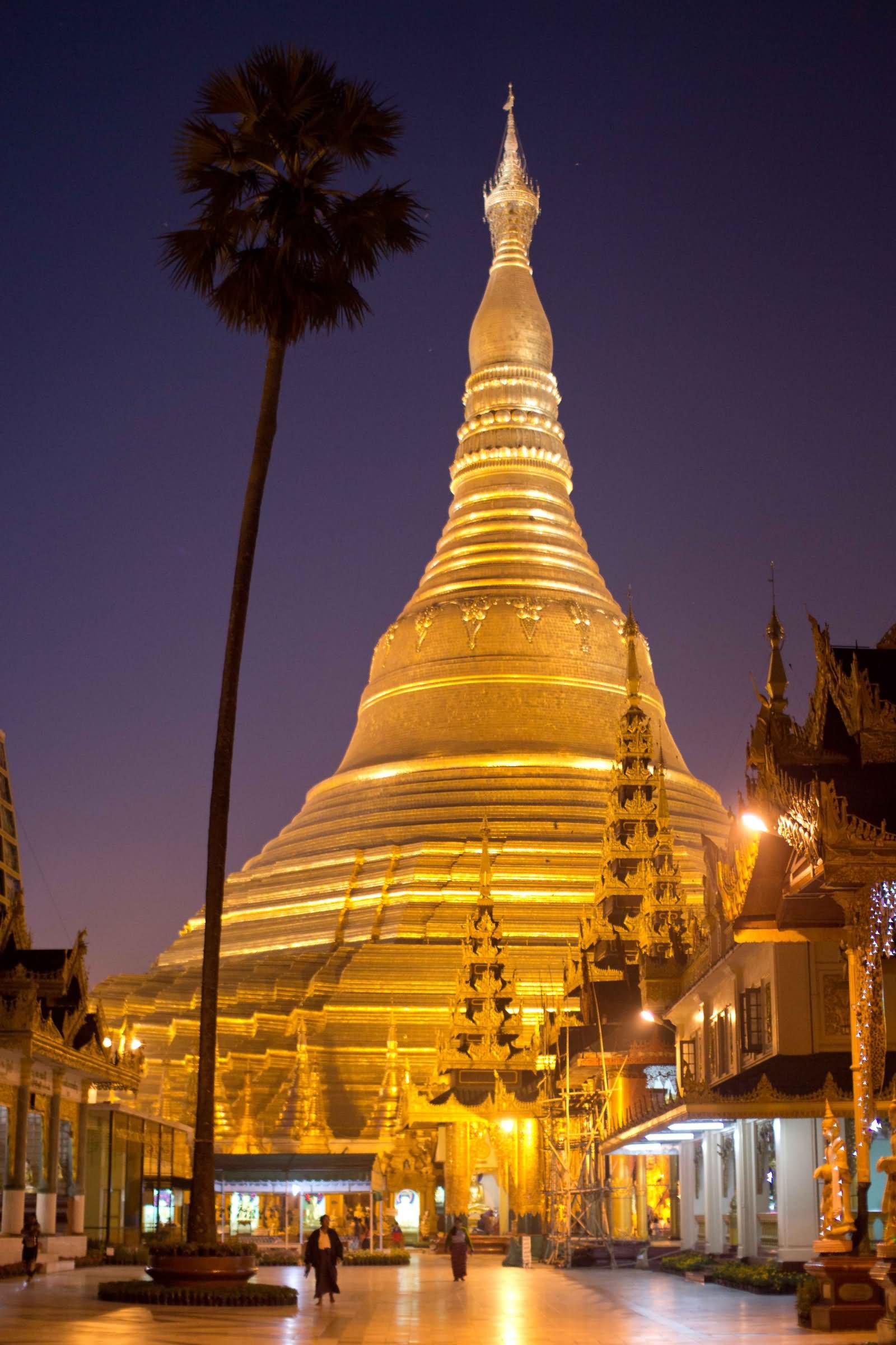 50 Incredible Night View Image And Photos Of Shwedagon Pagoda, Myanmar