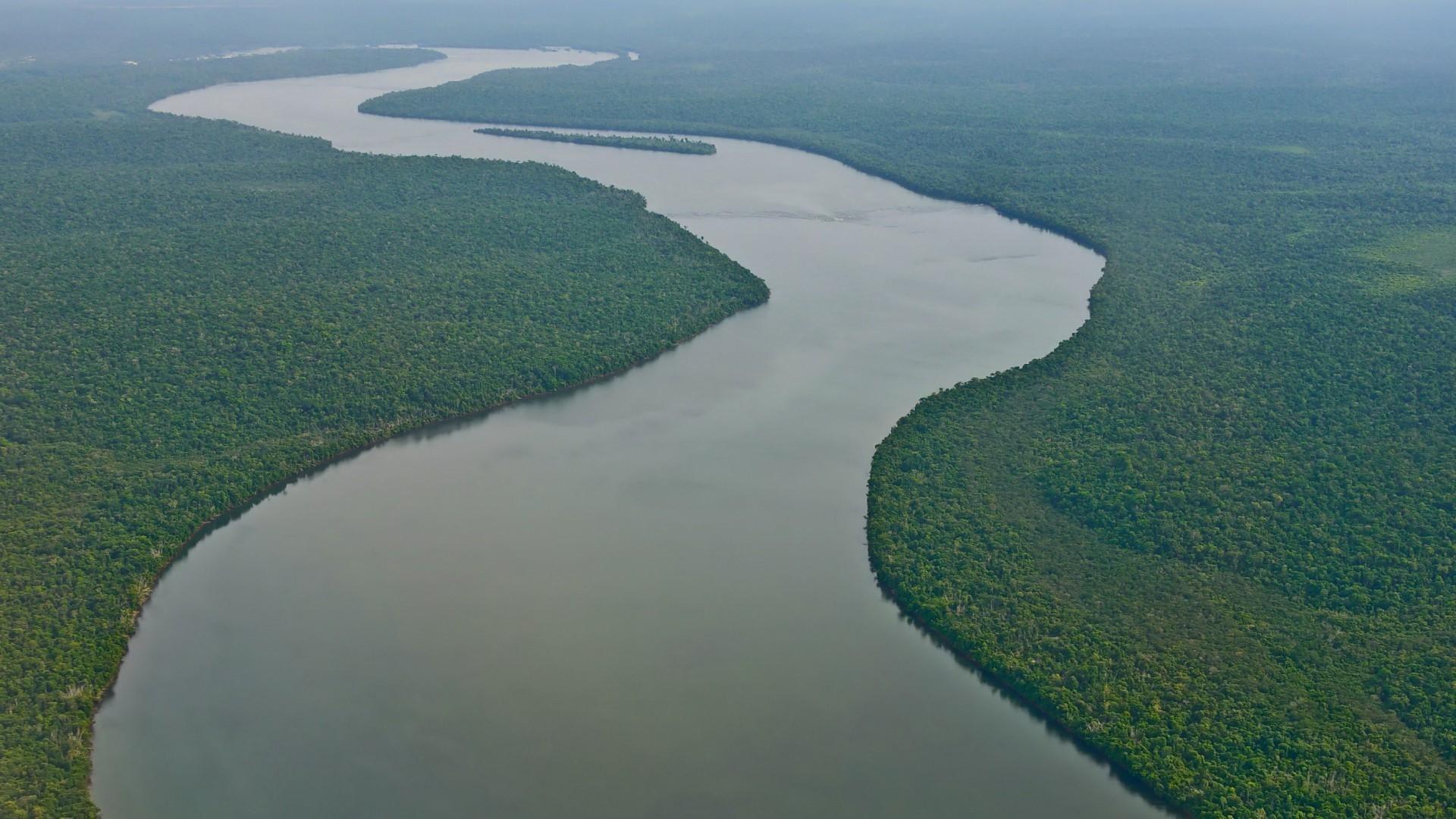 river amazon forest nature landscape tropical forest wallpapers and