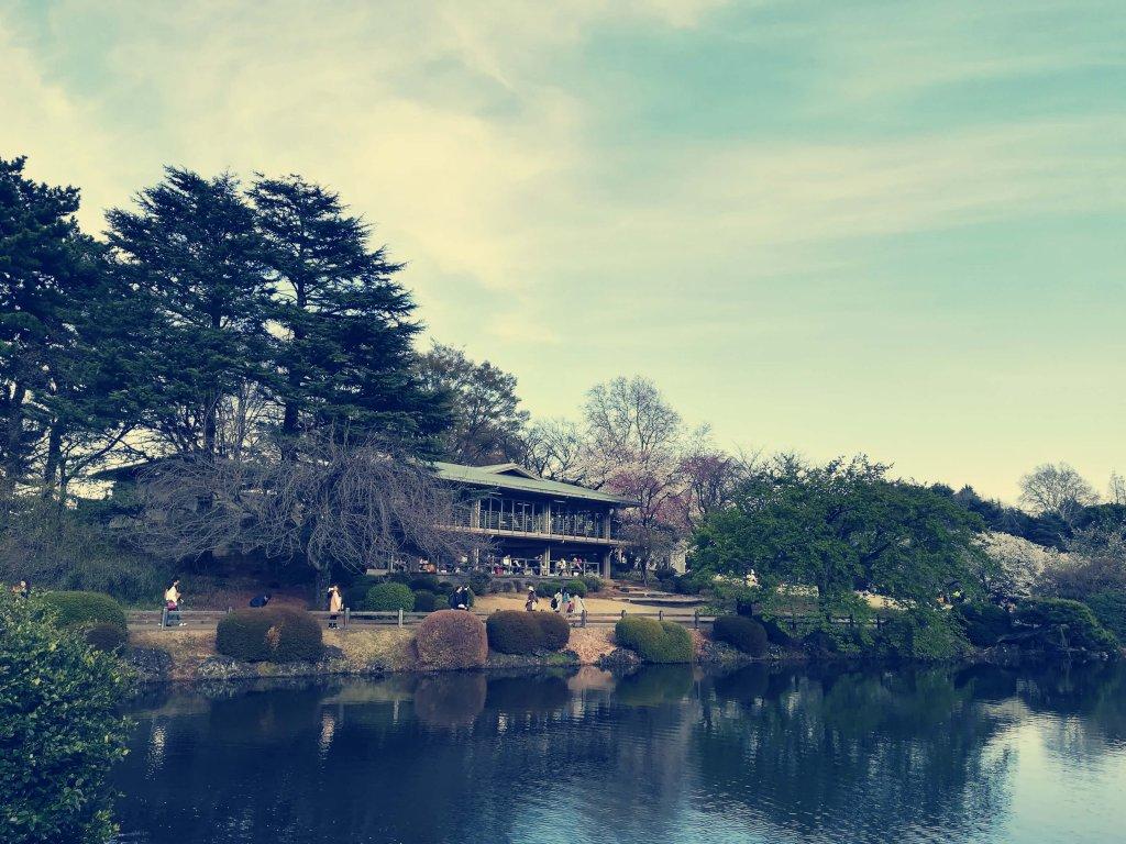 Shinjuku Gyoen Highlight and Access Information Summary