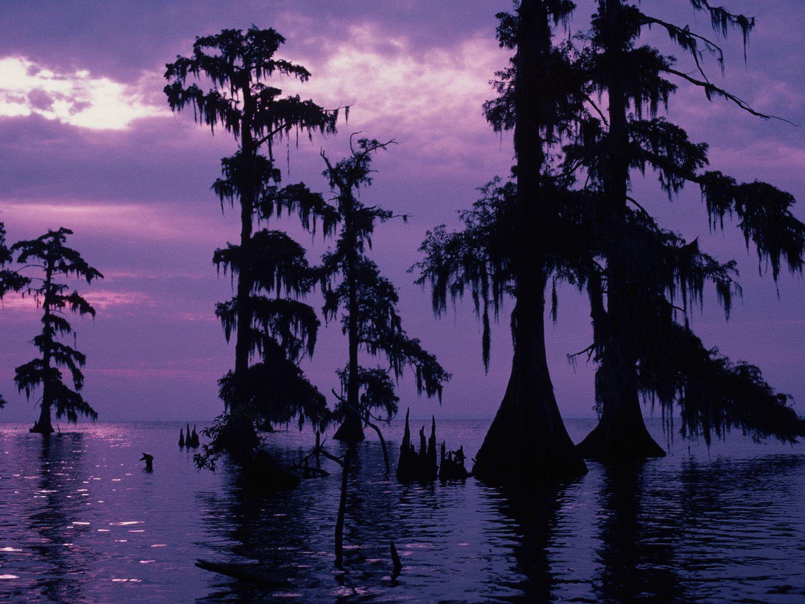 Louisiana Bayou Wallpapers