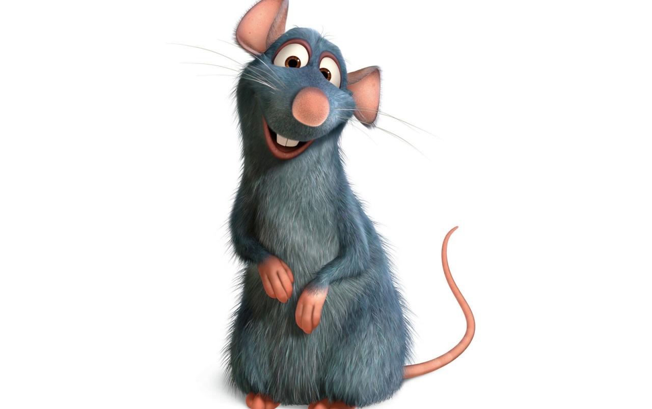 Ratatouille the rat wallpapers