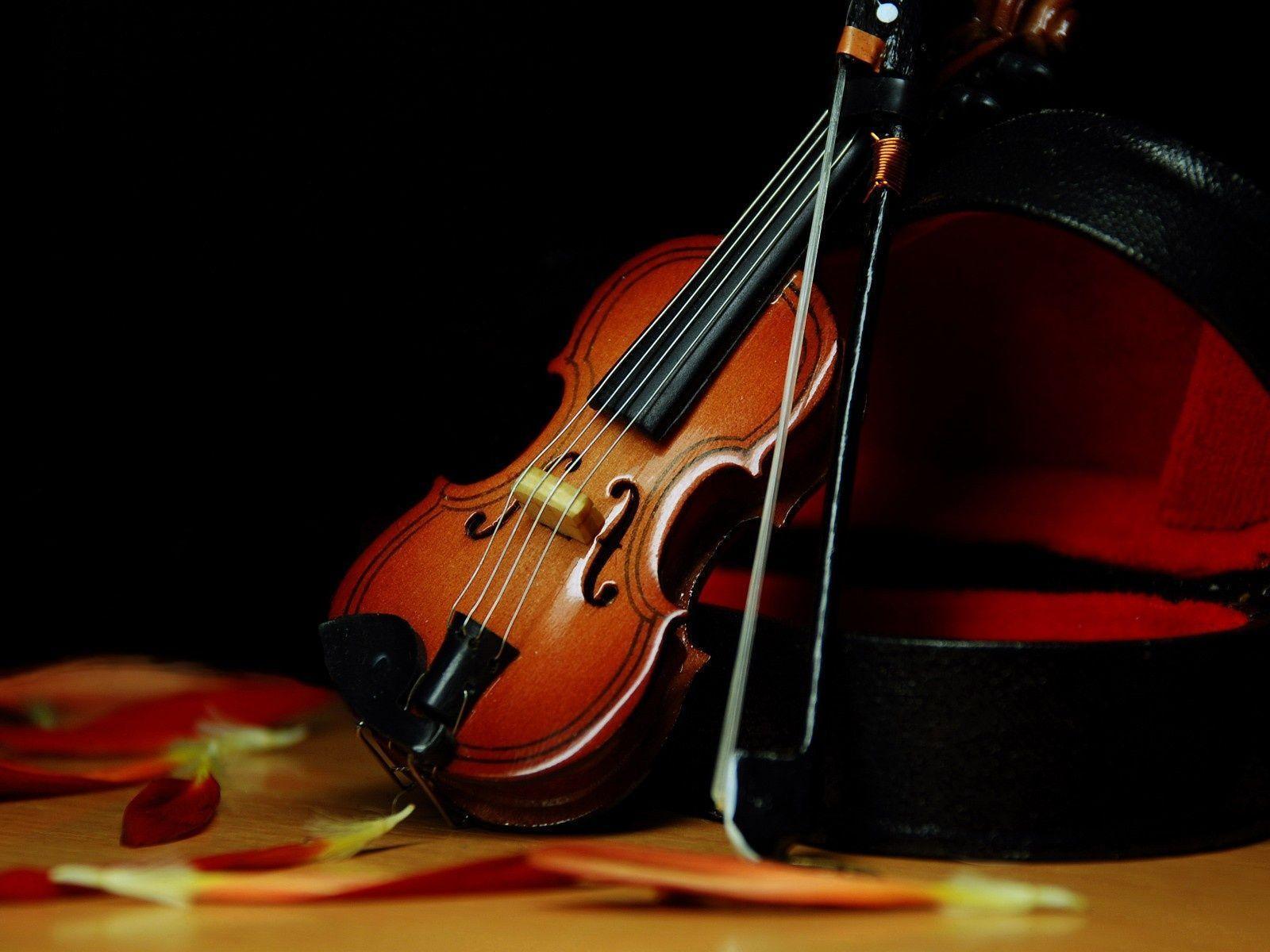 Violin Wallpapers Download 24655