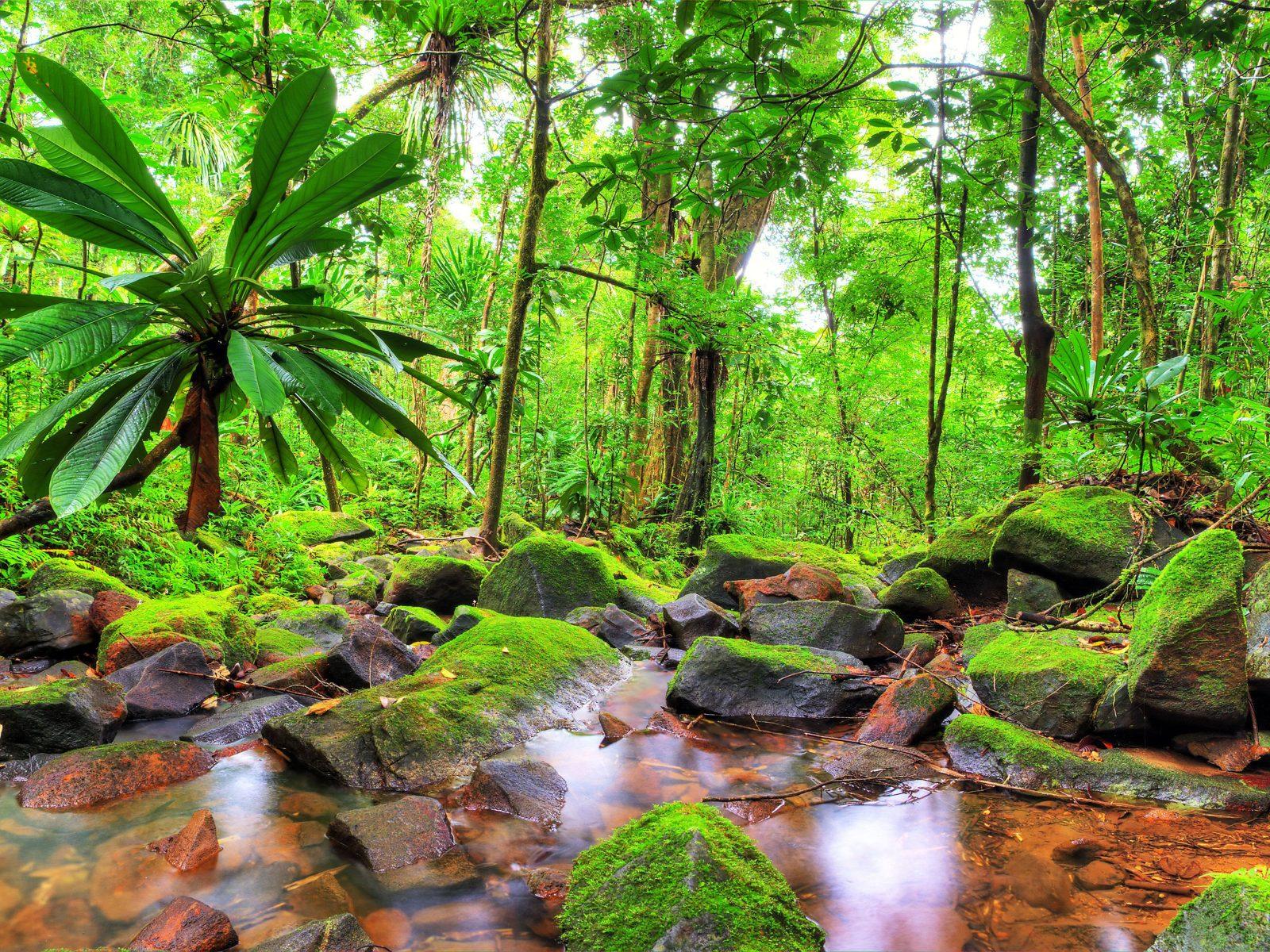 On the riverbank, quality backgrounds, max backgrounds