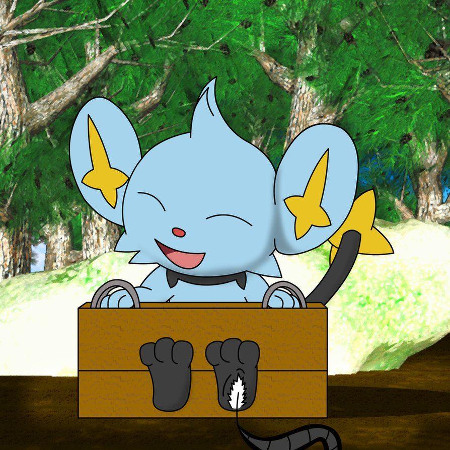 Shinx Tickle for Pokepaws12 by Alphaws