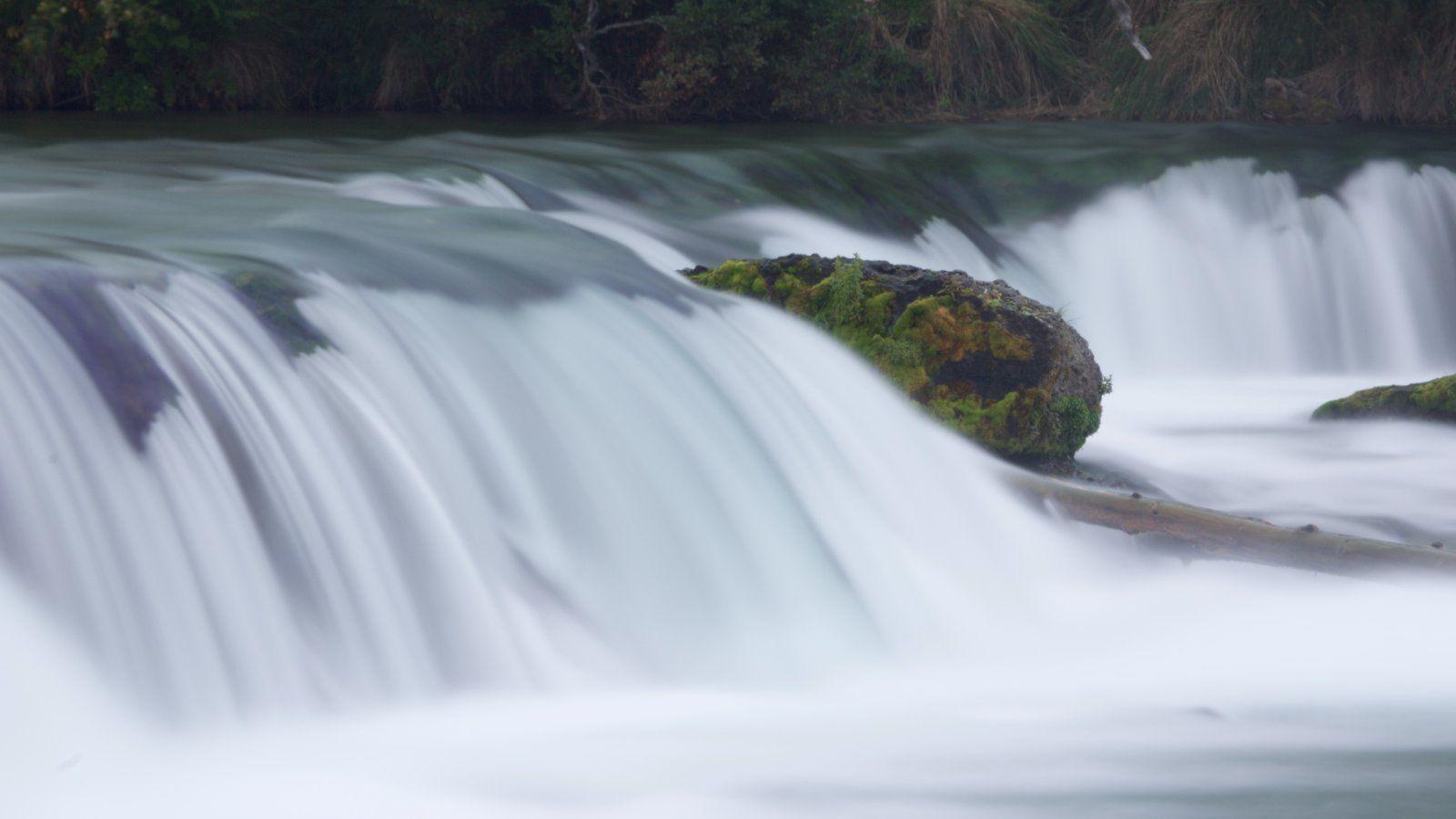 Katmai National Park and Preserve Pictures: View Photos & Image