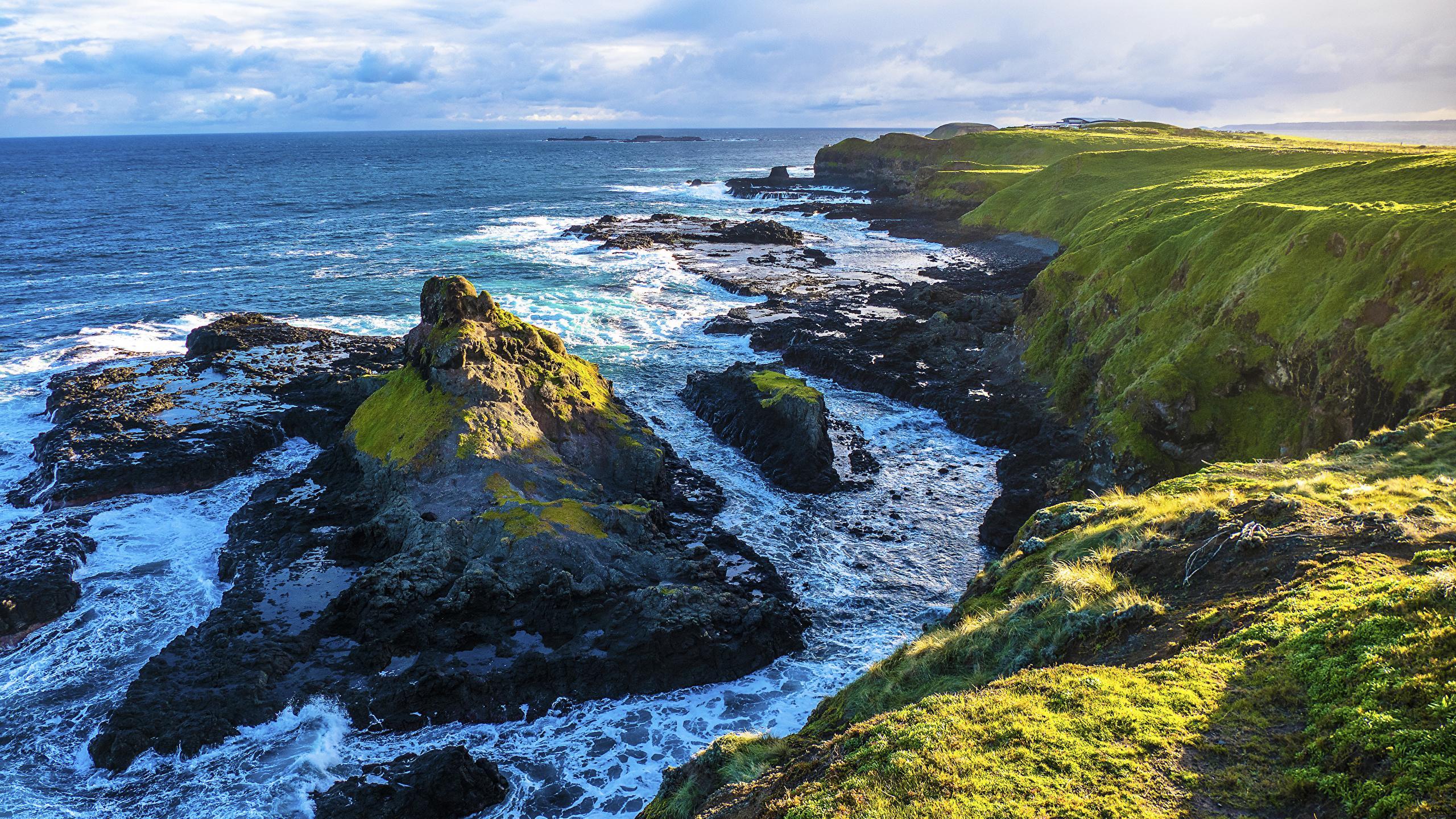 Photos Australia Phillip Island Sea Rock Nature Coast