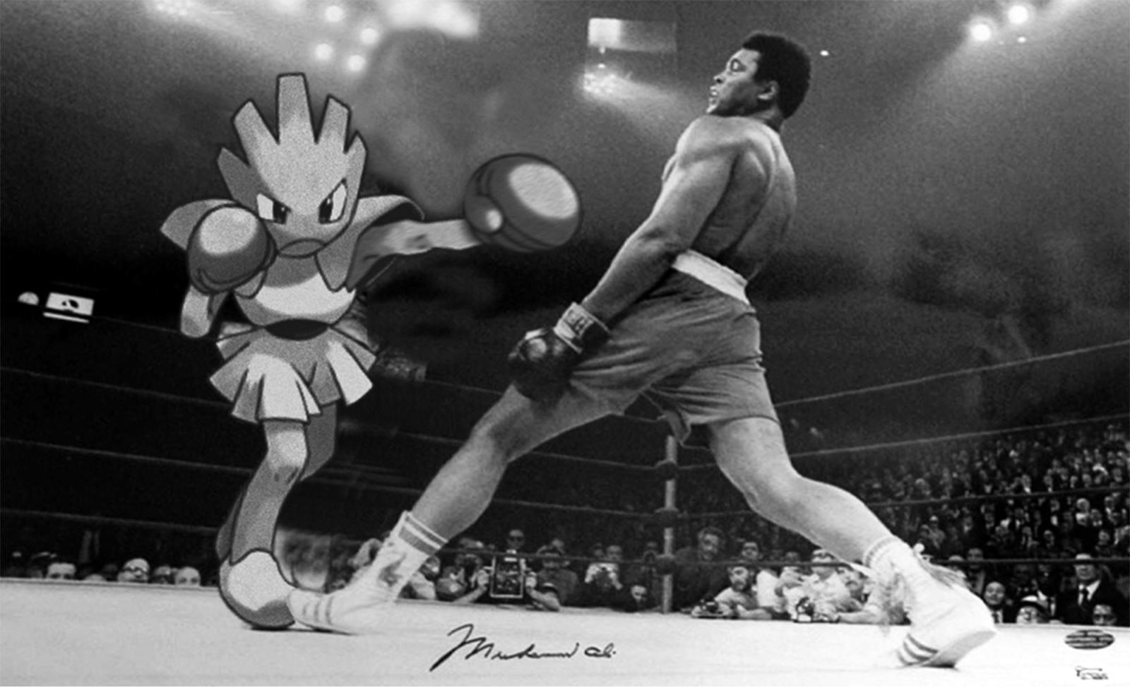 Hitmonchan v. Ali : pokemon