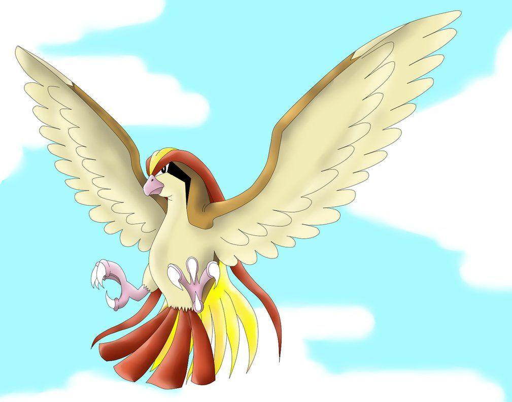 Pidgeot preparing to attack by phoenixn91