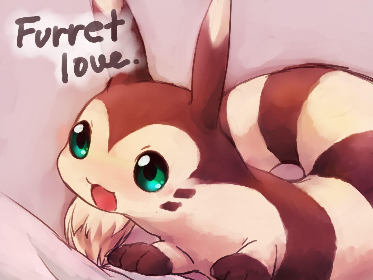 Furret Is Love, Furret Is Life