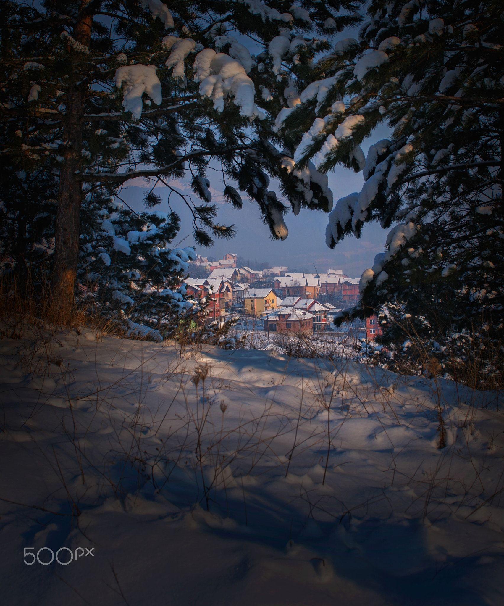 View of Village