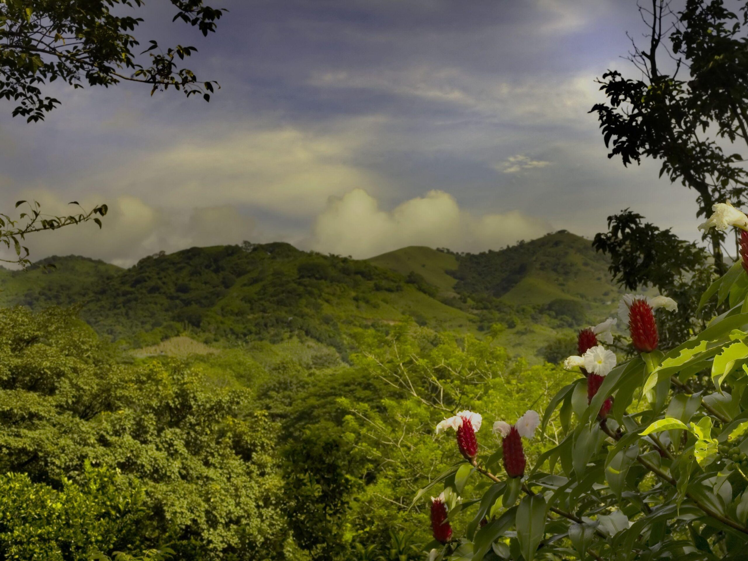 Landscape at Costa rica wallpapers and image