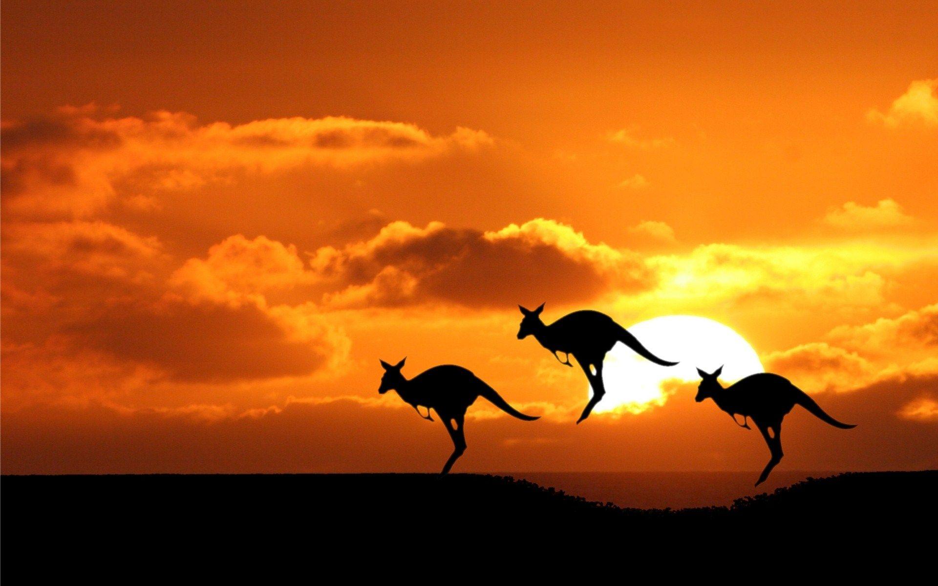 Australia Wallpaper, 28 Widescreen HD Widescreen Wallpapers of