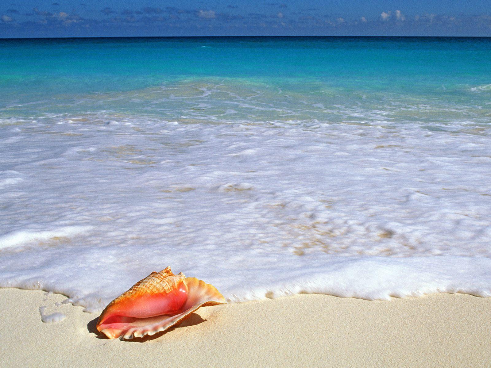 Beachside Treasure Yucatan Peninsula Mexico