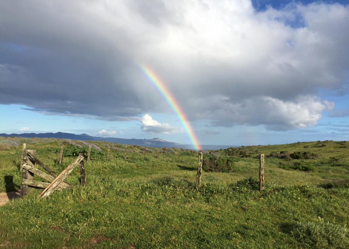 Volunteer Vacation at Channel Island, California – Sierra Club