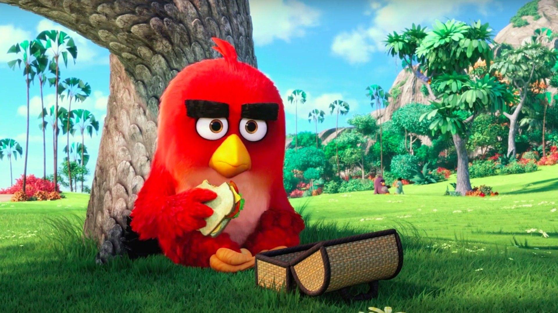 The Angry Birds Movie Wallpapers High Resolution and Quality Download