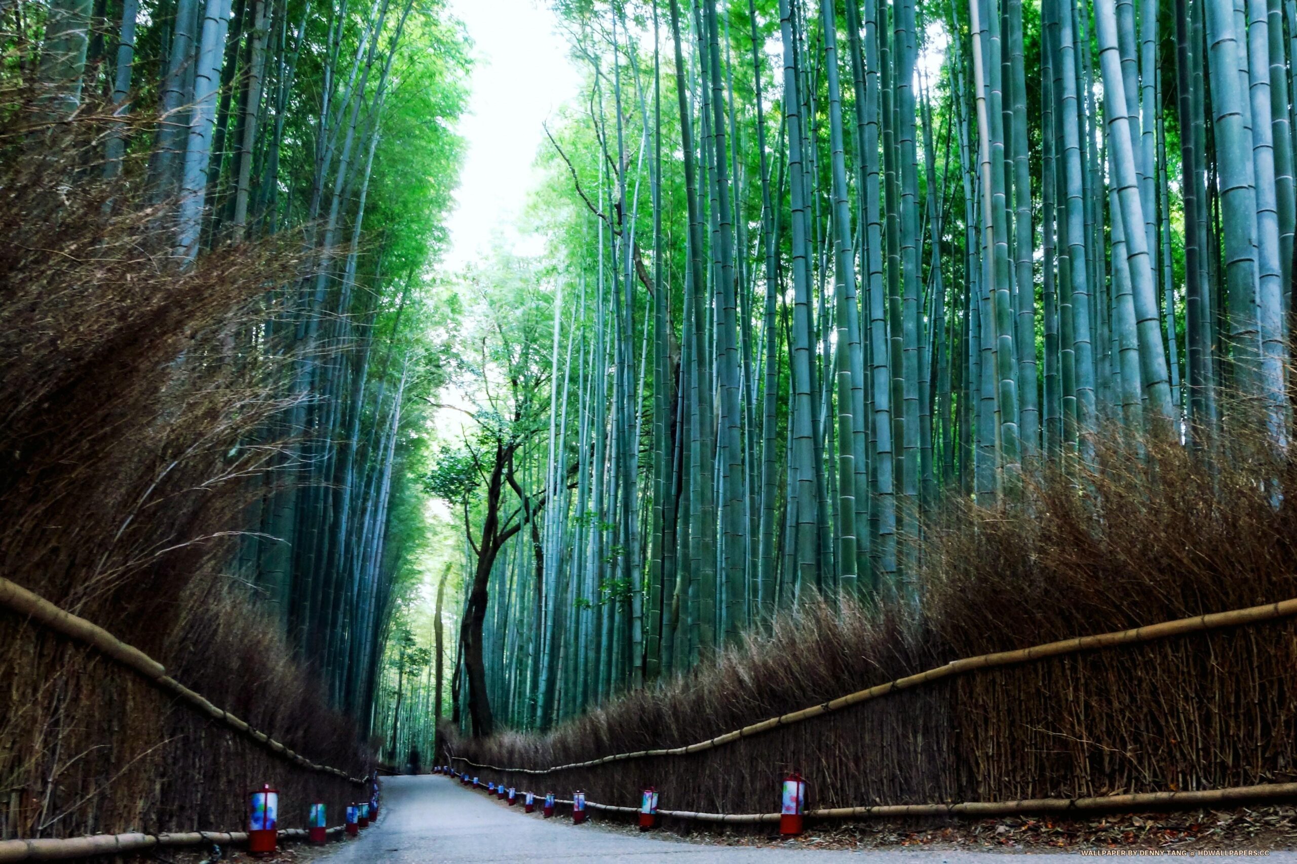 Arashiyama