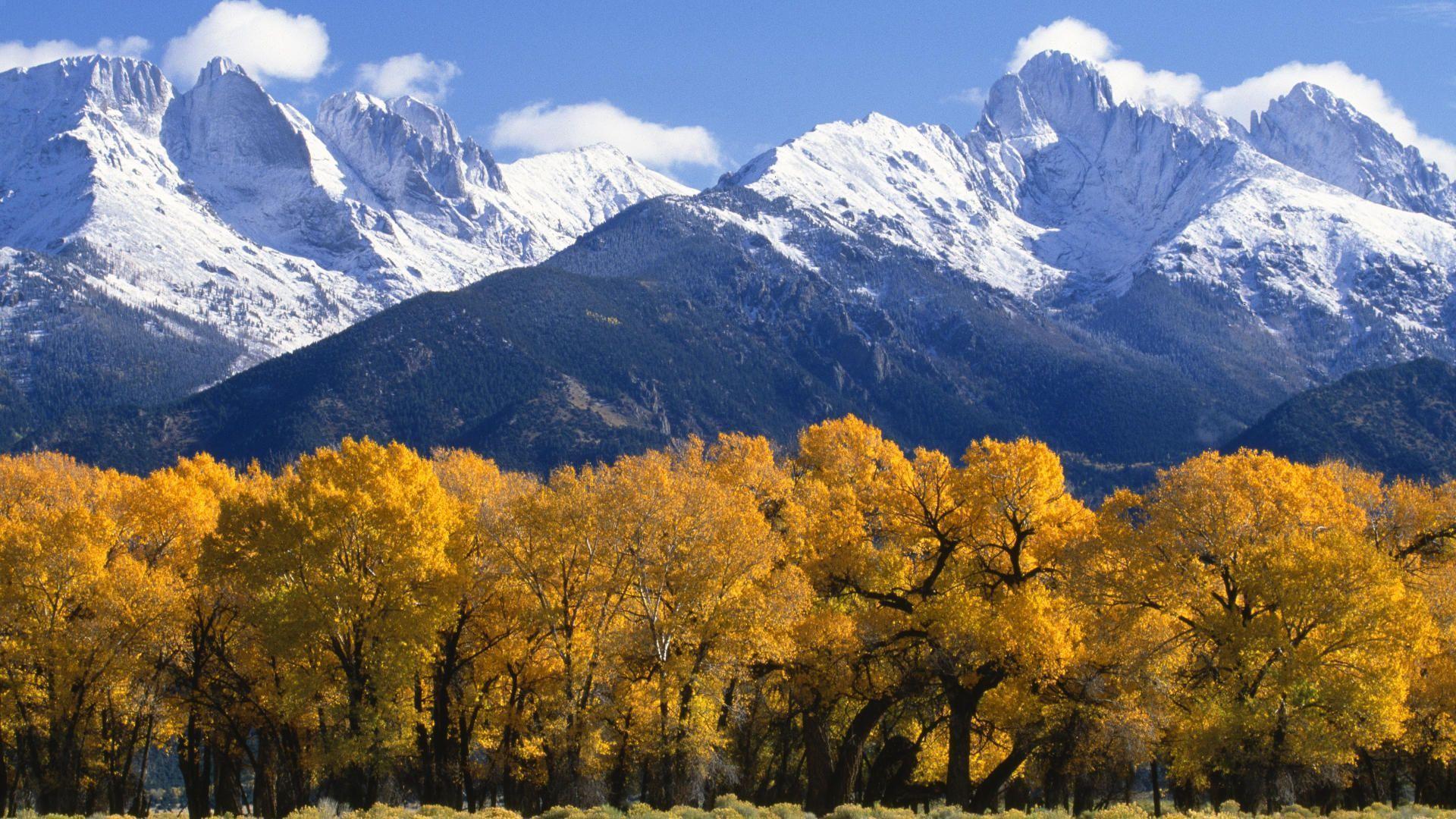 Colorado Fall Scenery