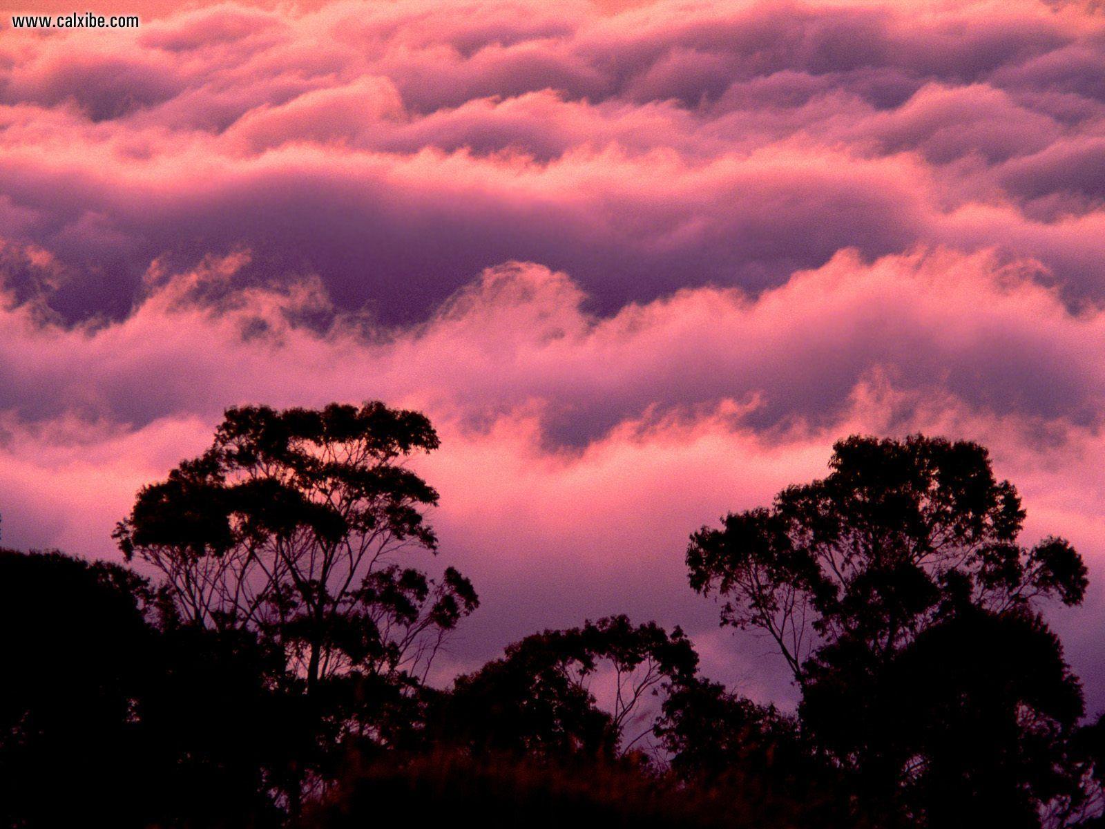 Nature: Haleakala National Park Maui Hawaii, picture nr. 17316