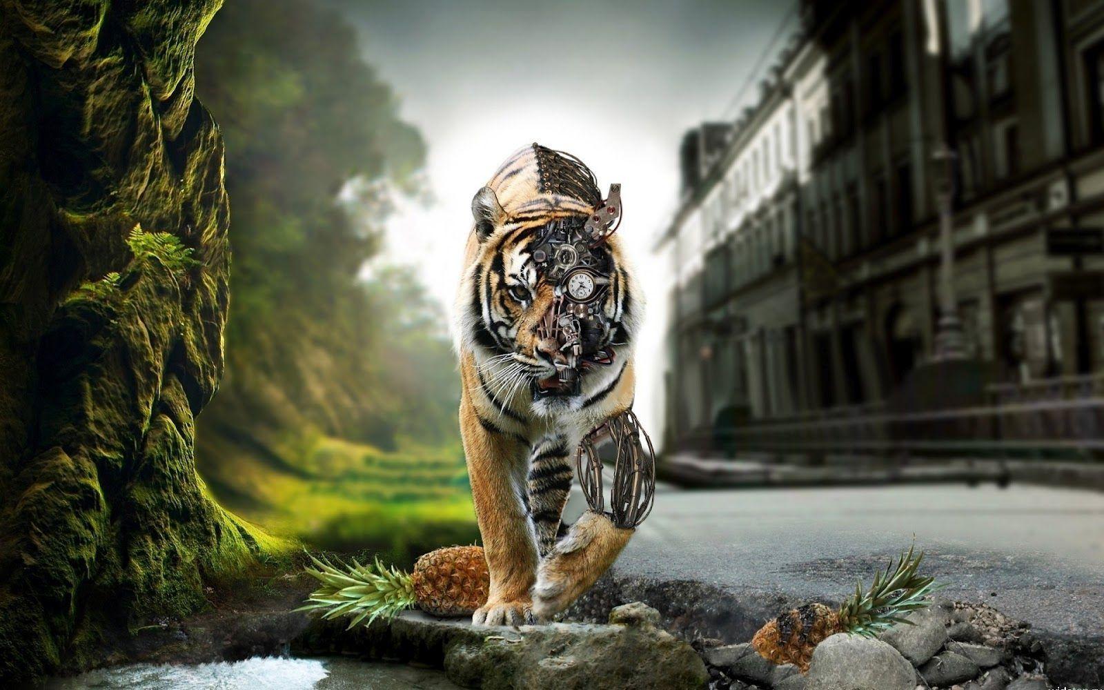 Wallpapers For > Tiger Wallpapers Hd For Desktop