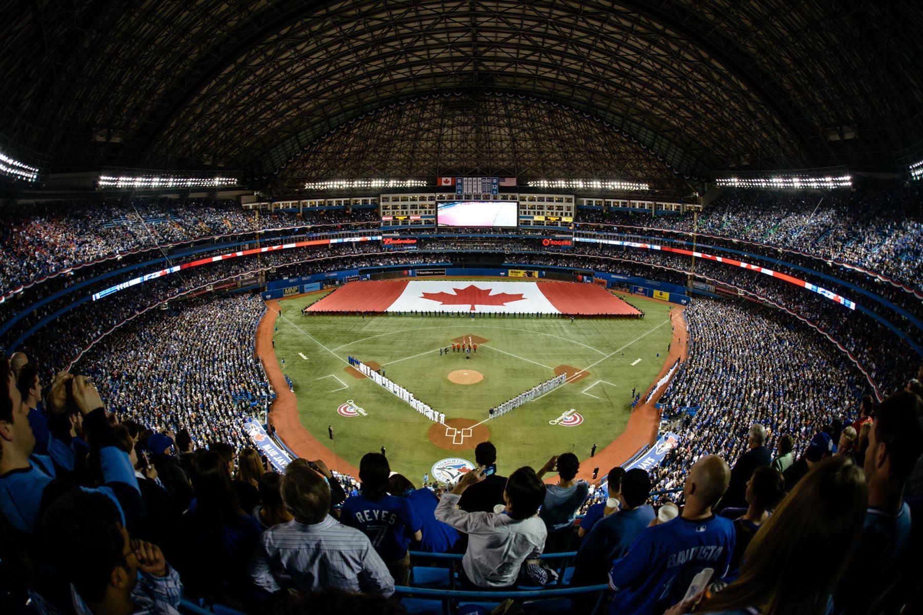 TORONTO BLUE JAYS mlb baseball