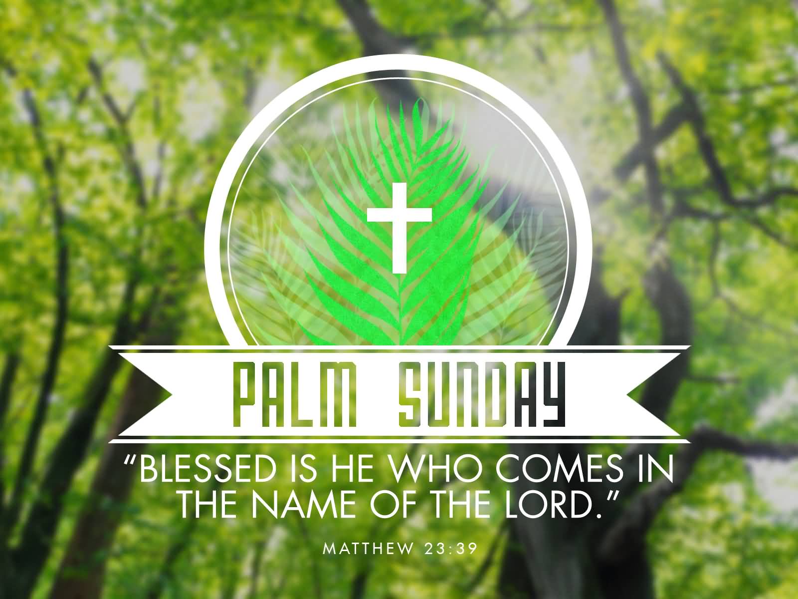 Happy Palm Sunday 2018 Wishes Quotes Pictures Image Messages Sms