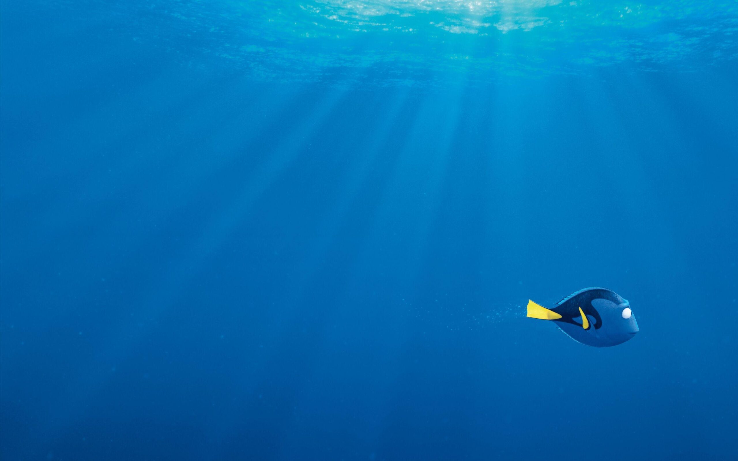 29 Finding Dory HD Wallpapers