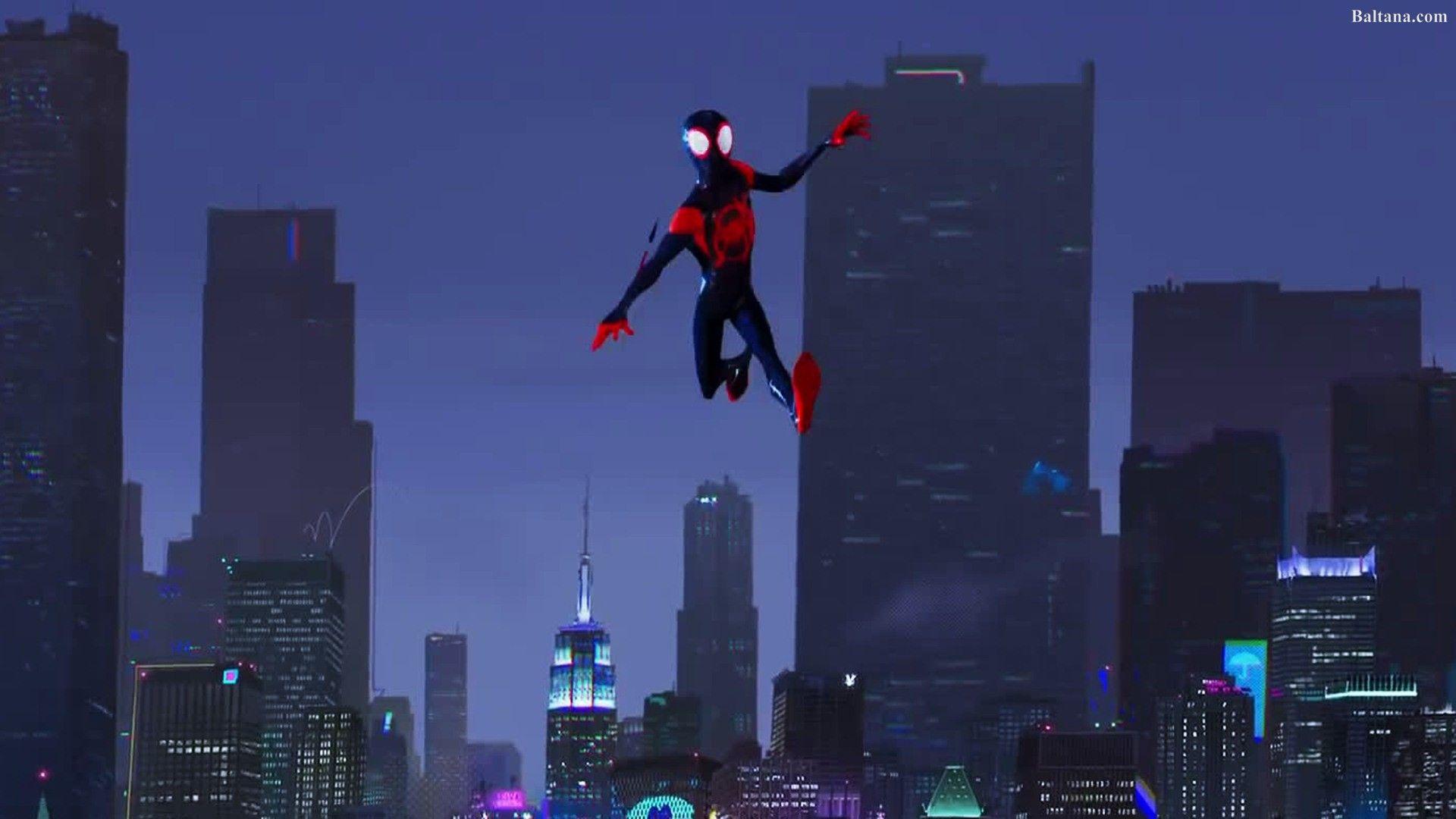 Spiderman Into The Spider Verse Animated Movie HQ Desktop Wallpapers