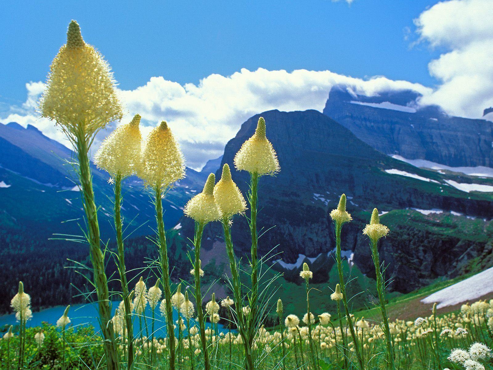 Glacier National Park wallpapers