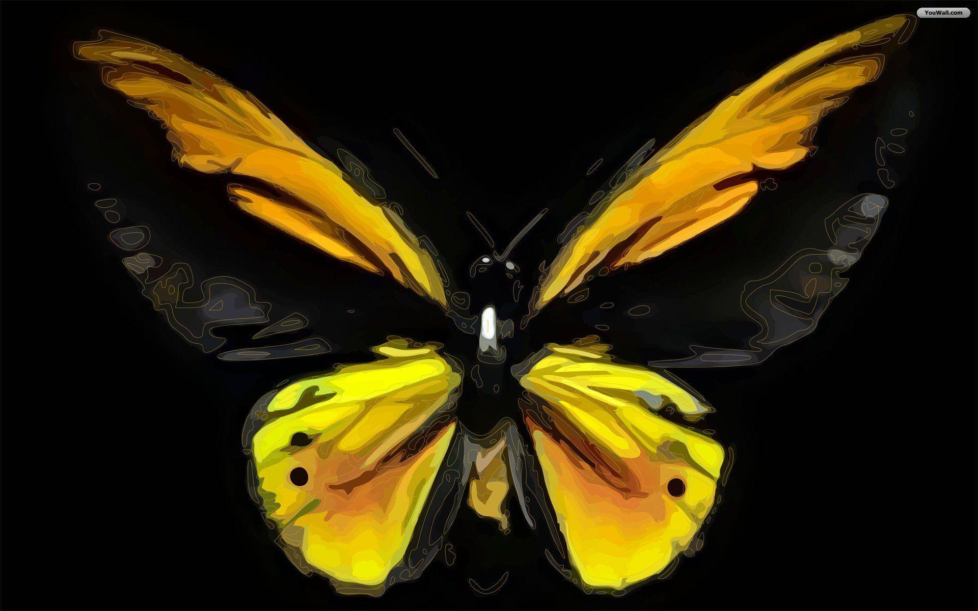 Butterfly Wallpapers