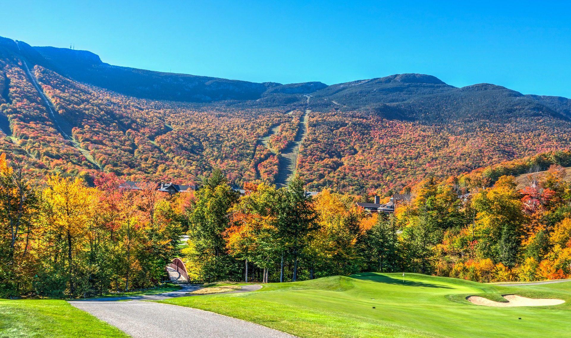 bosque, campo, follaje, montañas, vermont, 1702180810