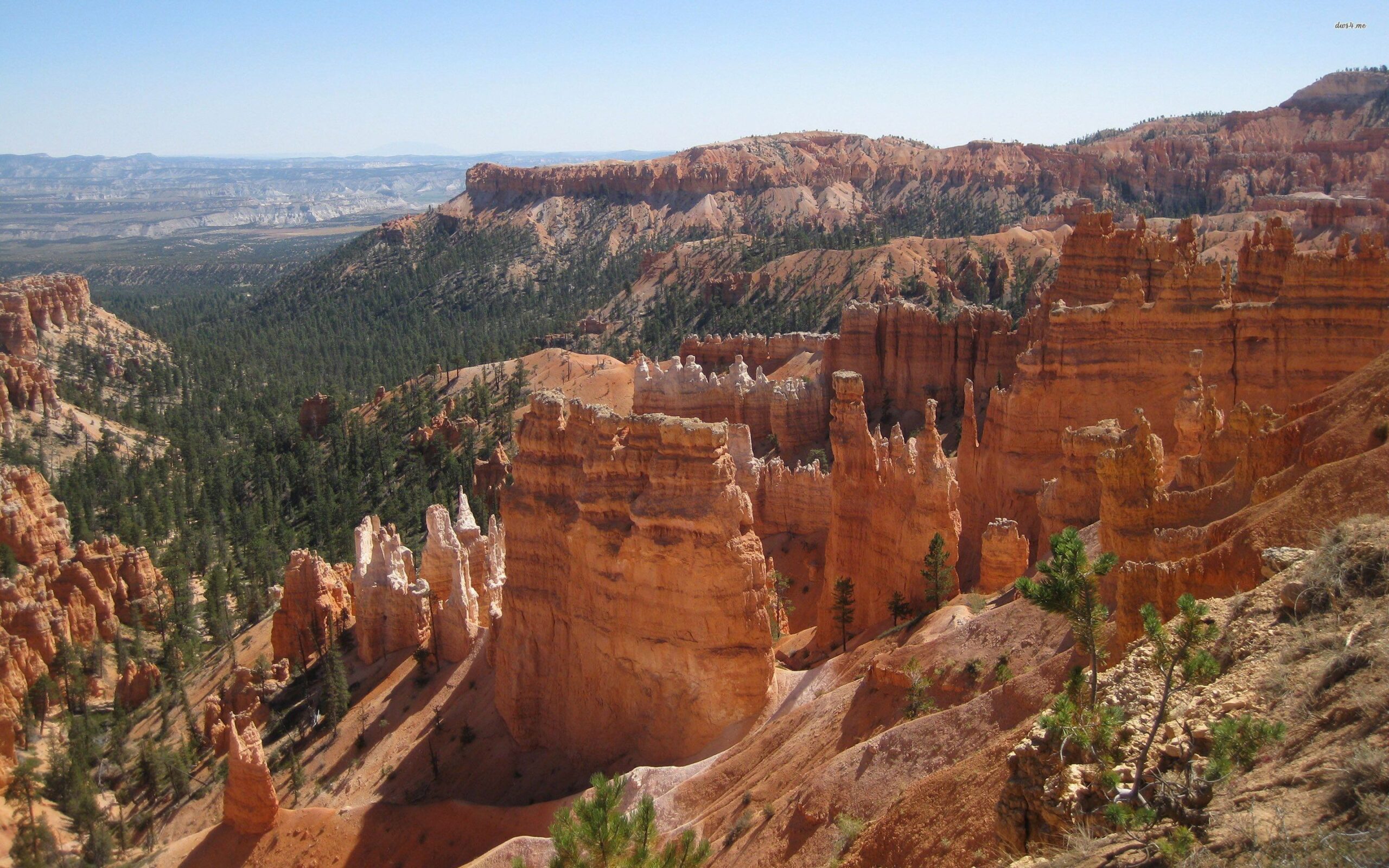 Grand Canyon National Park 936375