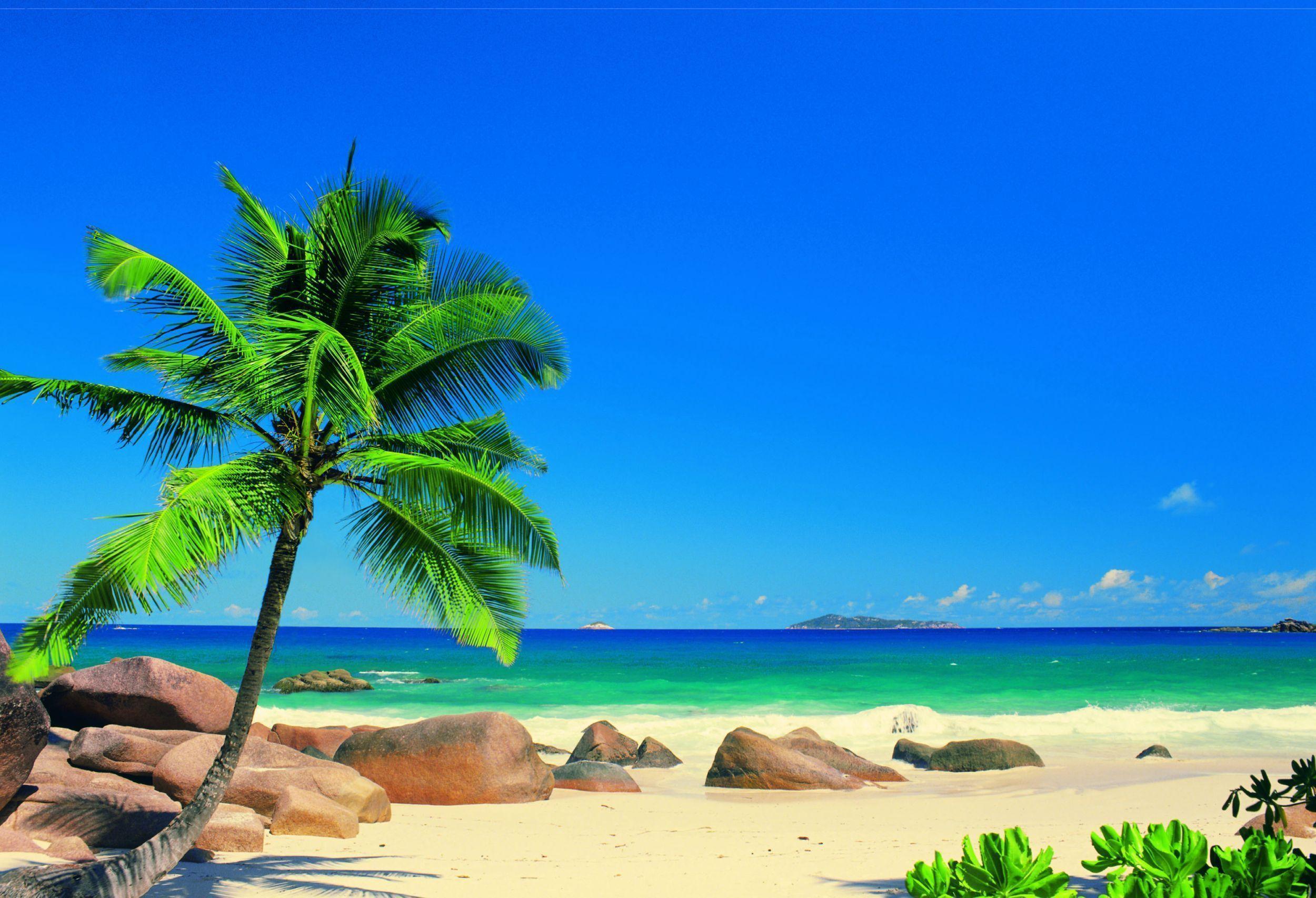 Seychelles by Murals : Wallpapers Direct