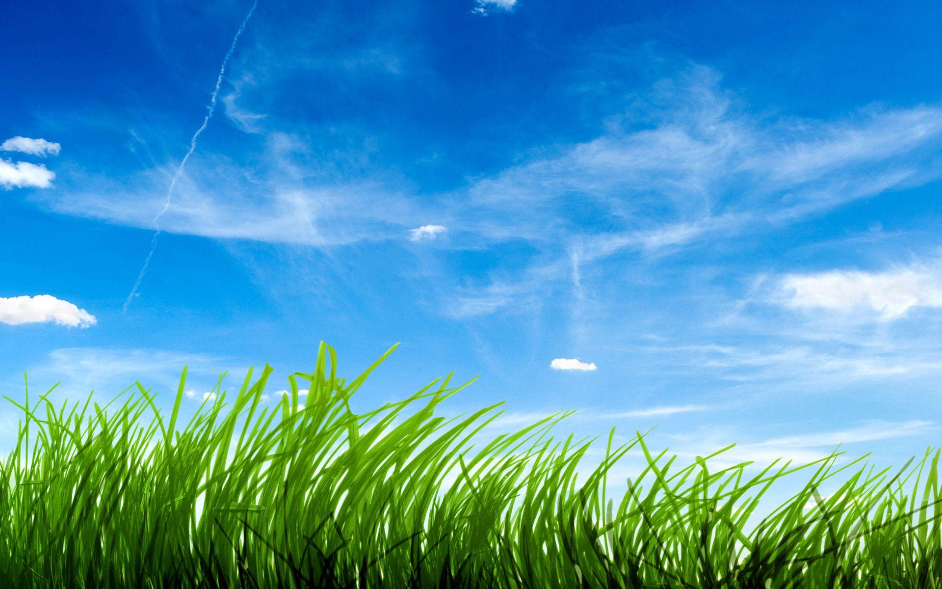 Blue Sky Green Grass Wallpapers