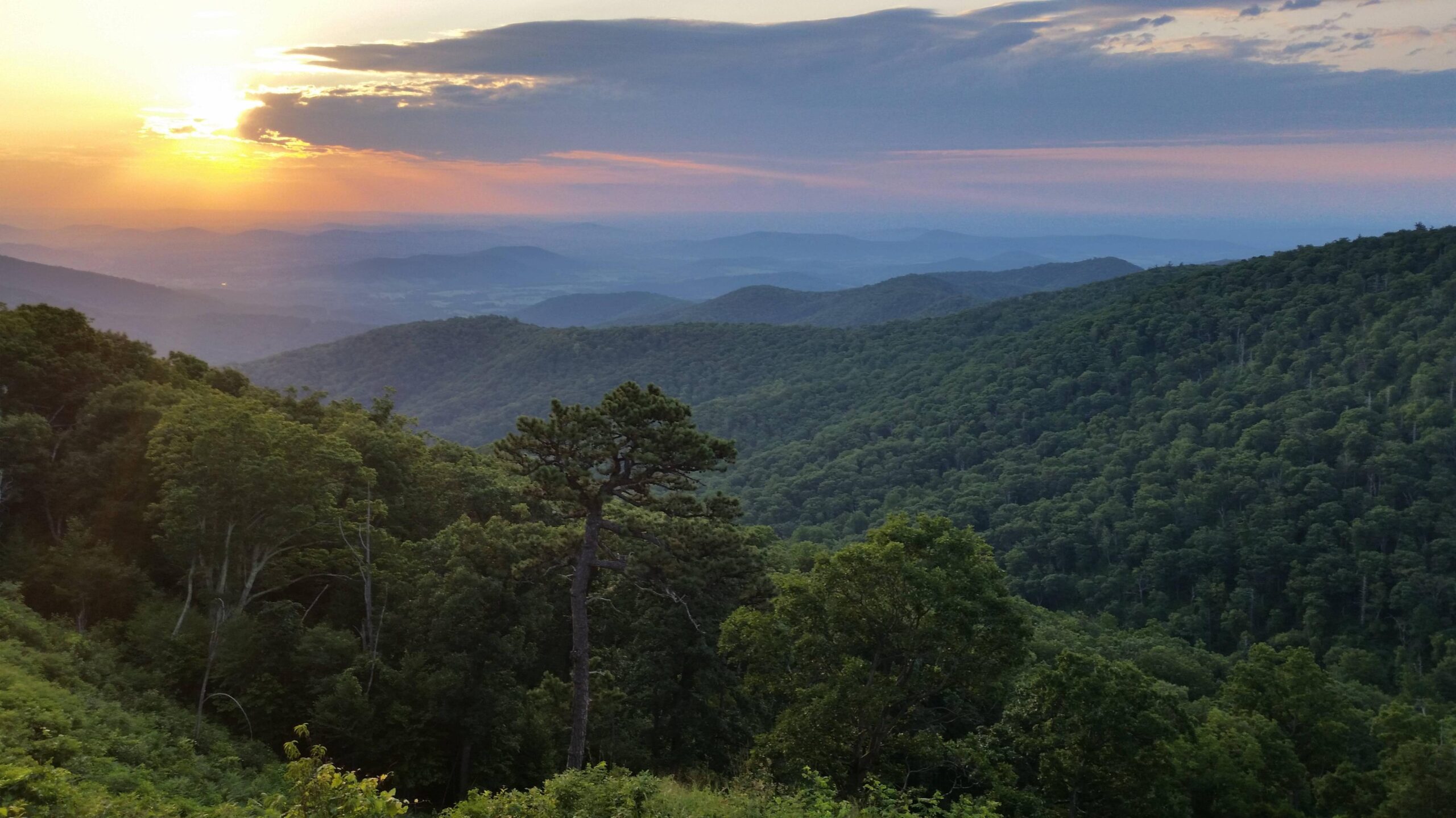 Shenandoah National Park at sunrise.