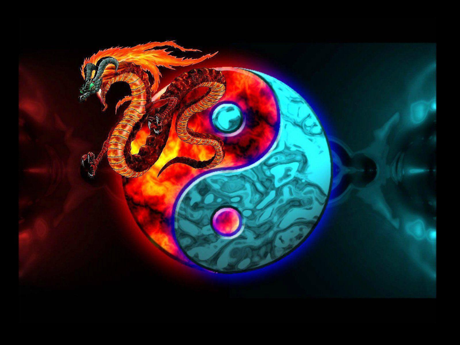 19 Yin & Yang HD Wallpapers