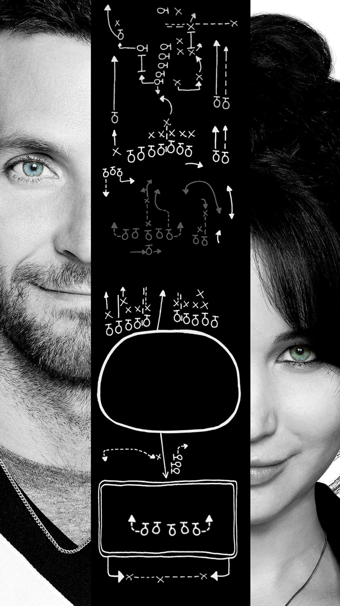 Silver Linings Playbook