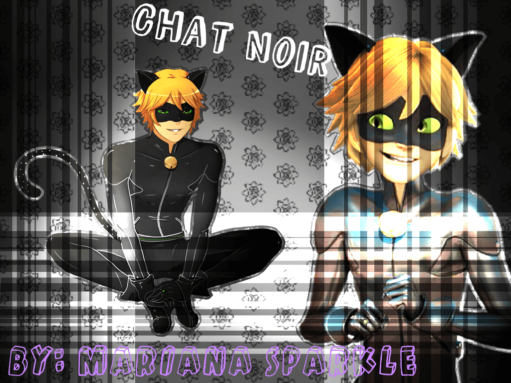 Ladybug and Chat Noir Wallpapers