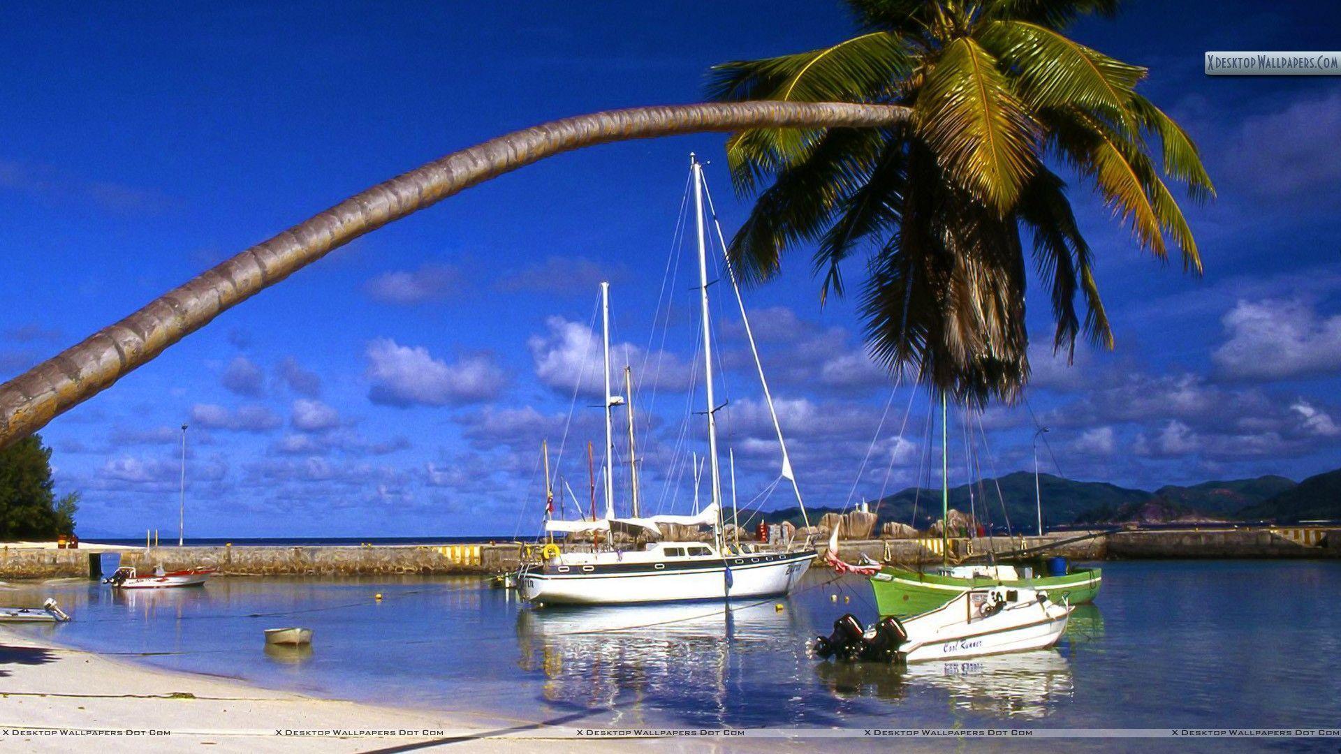 Seychelles Sailboats Wallpapers