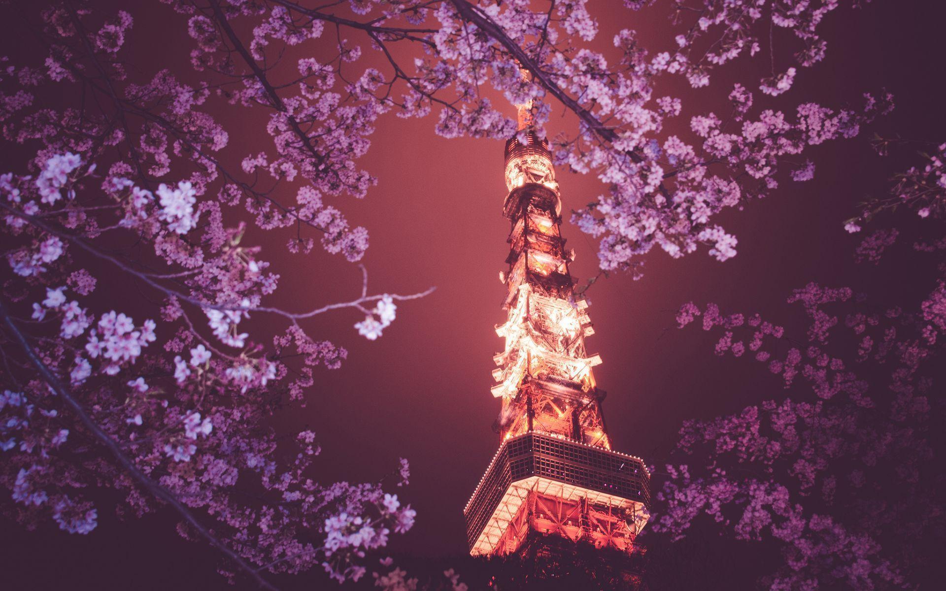 Tokyo Tower HD Wallpapers wallpapers