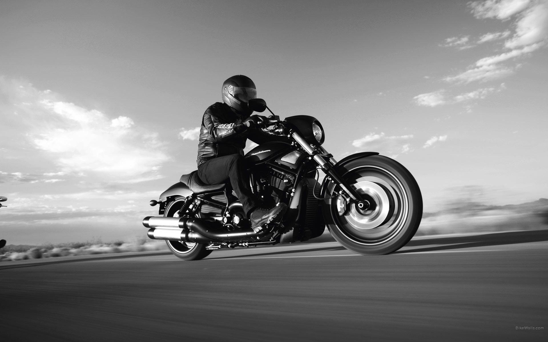 Harley Davidson Night Rod wallpapers