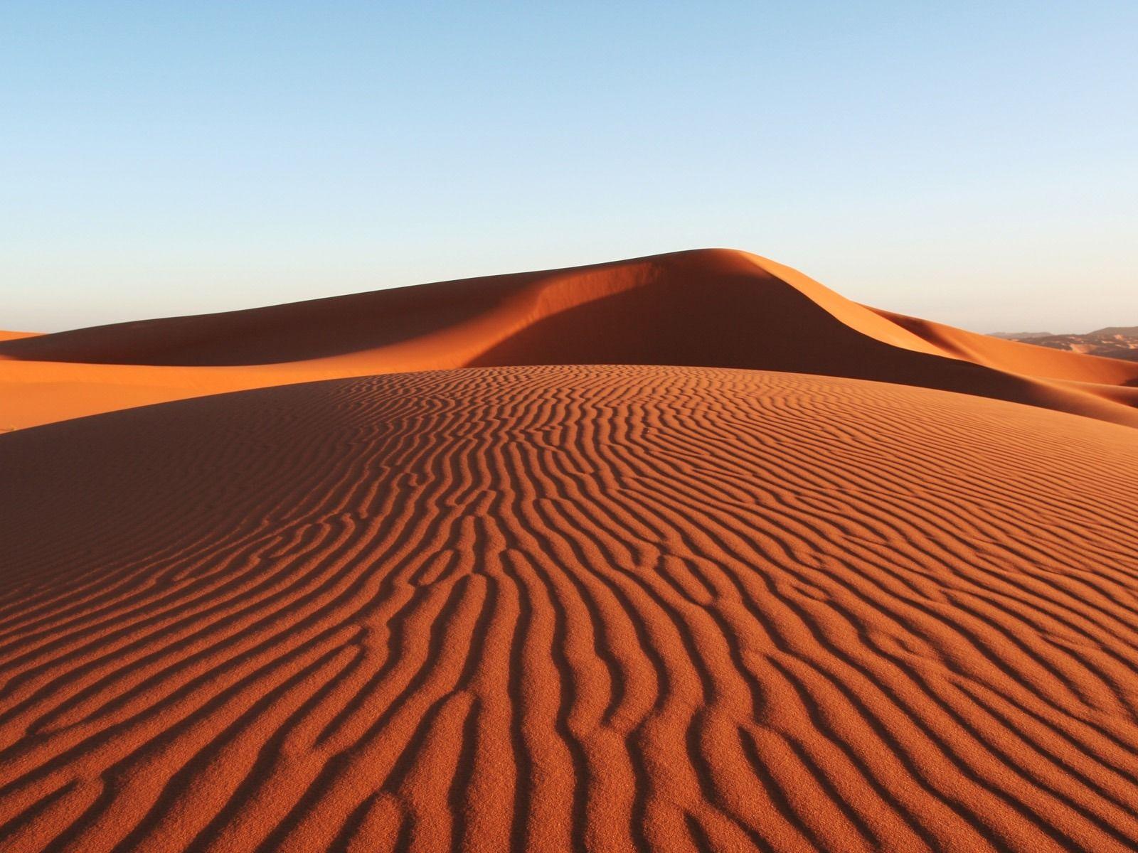 Beautiful Arabian Desert