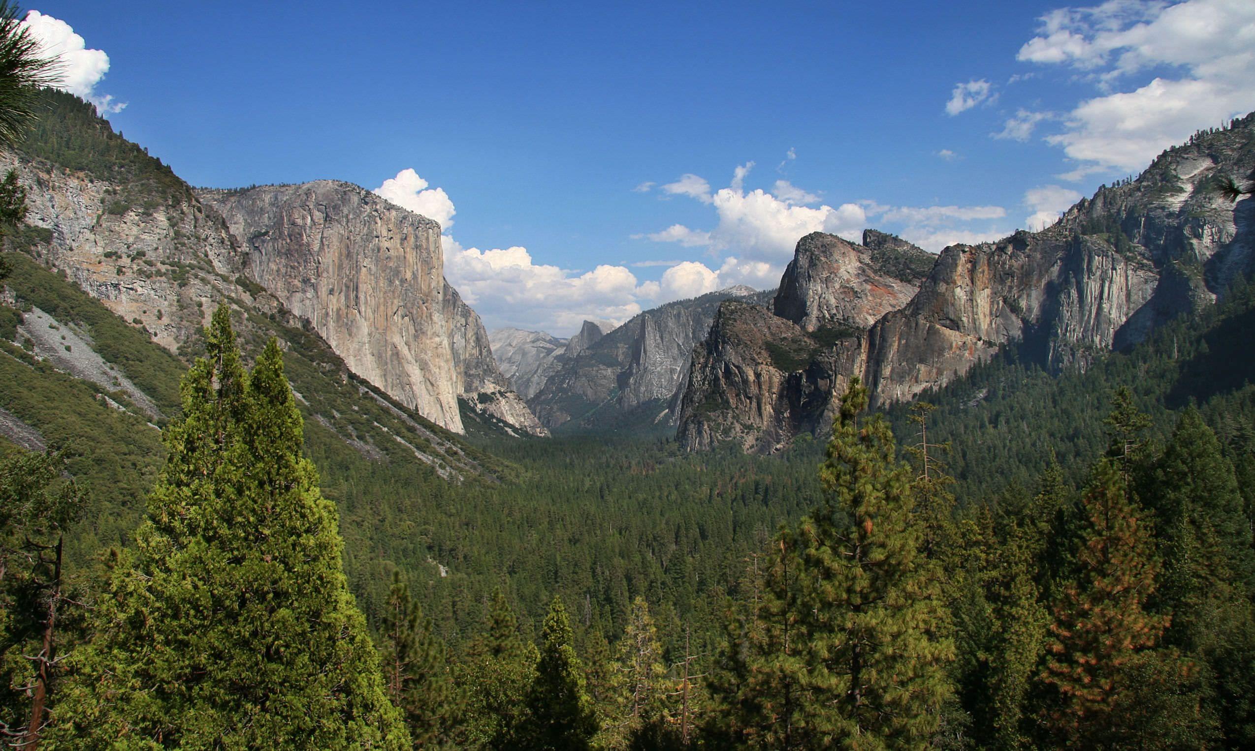 41+ Sequoia National Park Wallpapers, Top Ranked Sequoia National