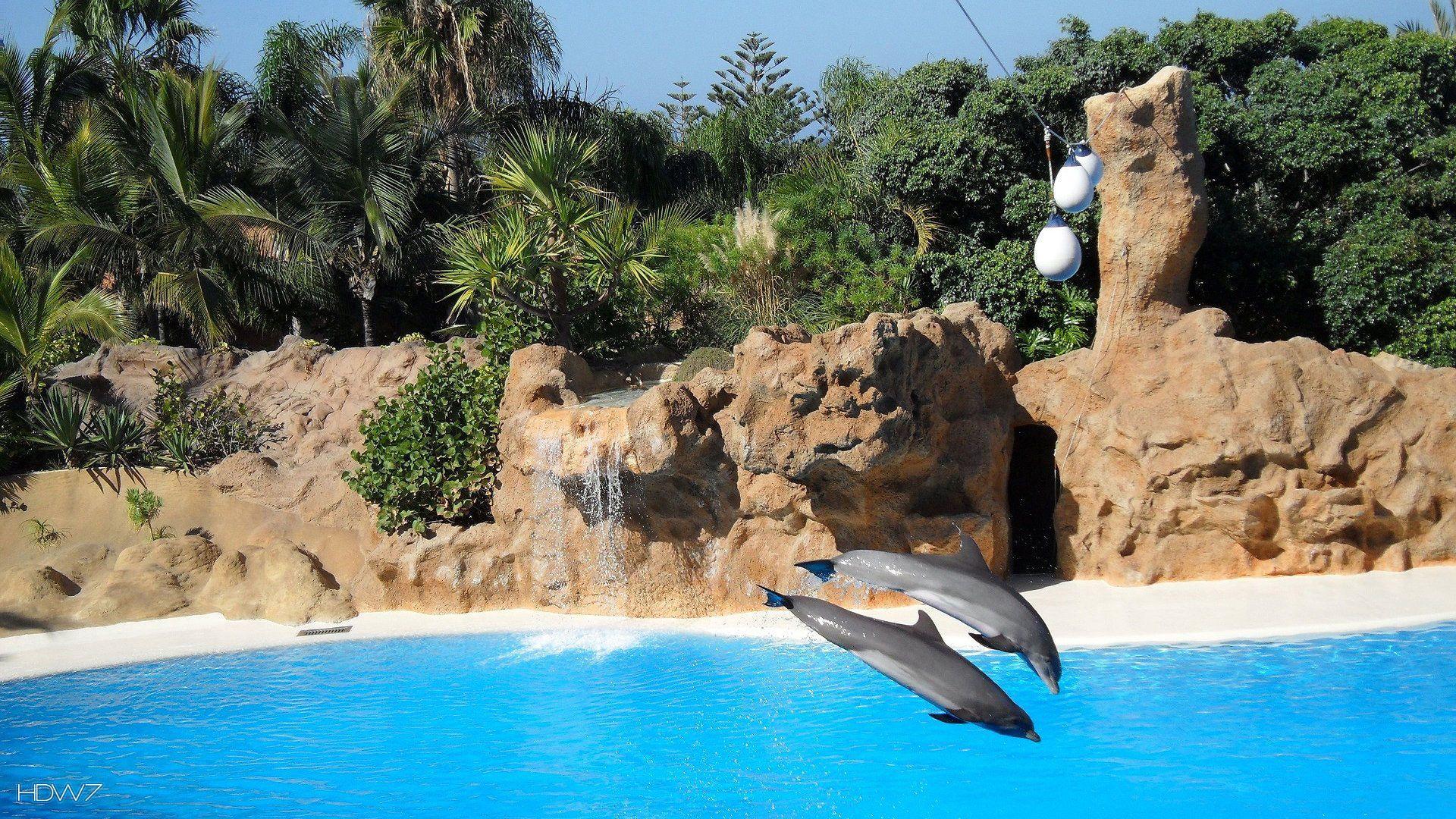 tenerife beach