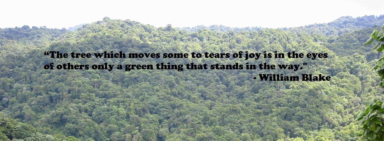 International Day of Forests Quotes 2017 World Forestry Day Slogan