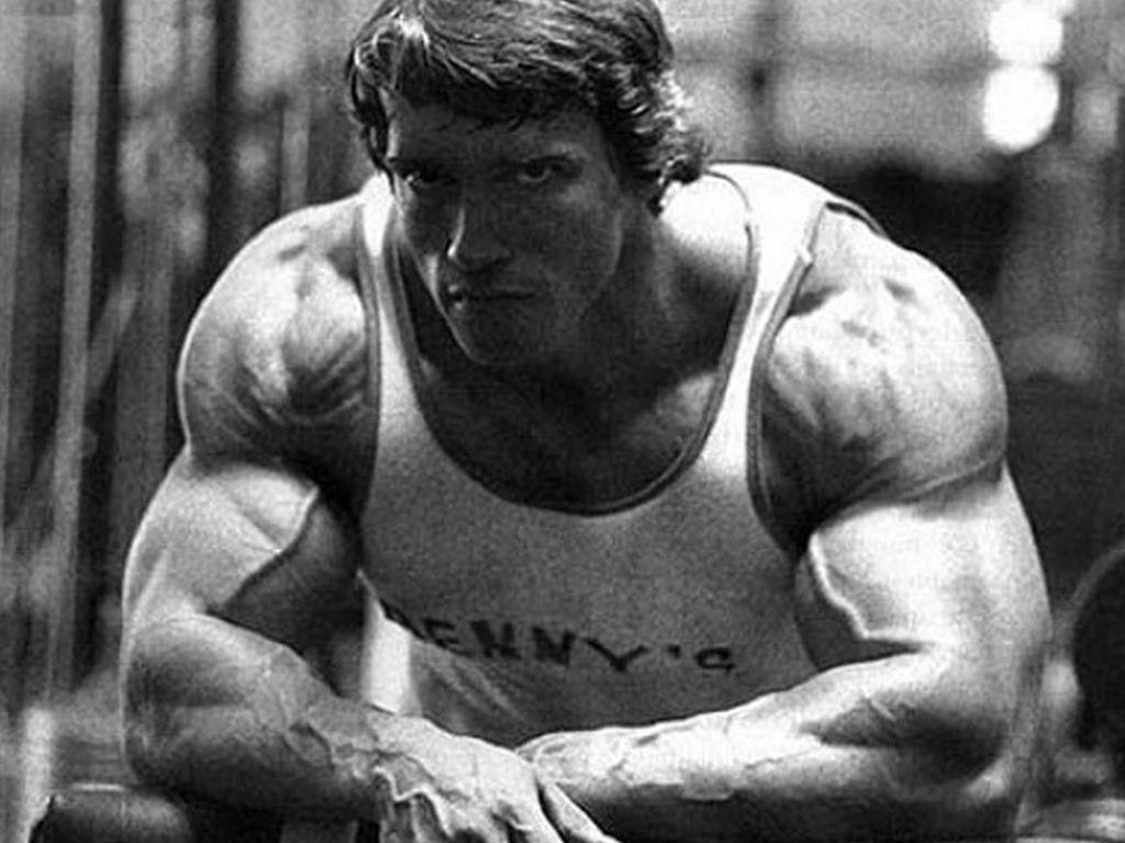 arnold schwarzenegger bodybuilding wallpapers