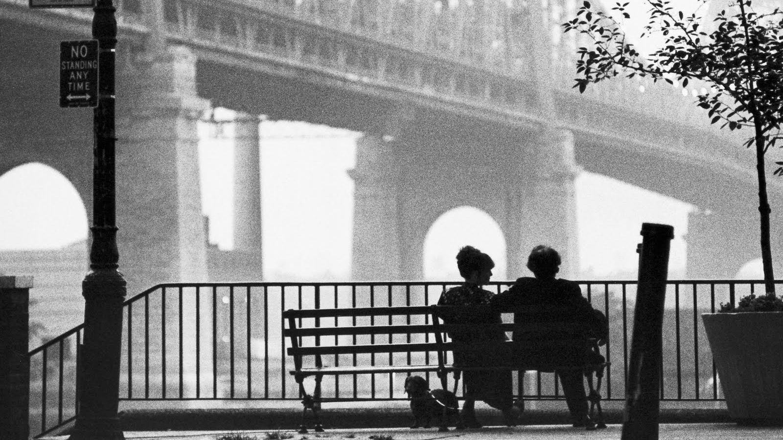 Woody Allen Film Wallpapers