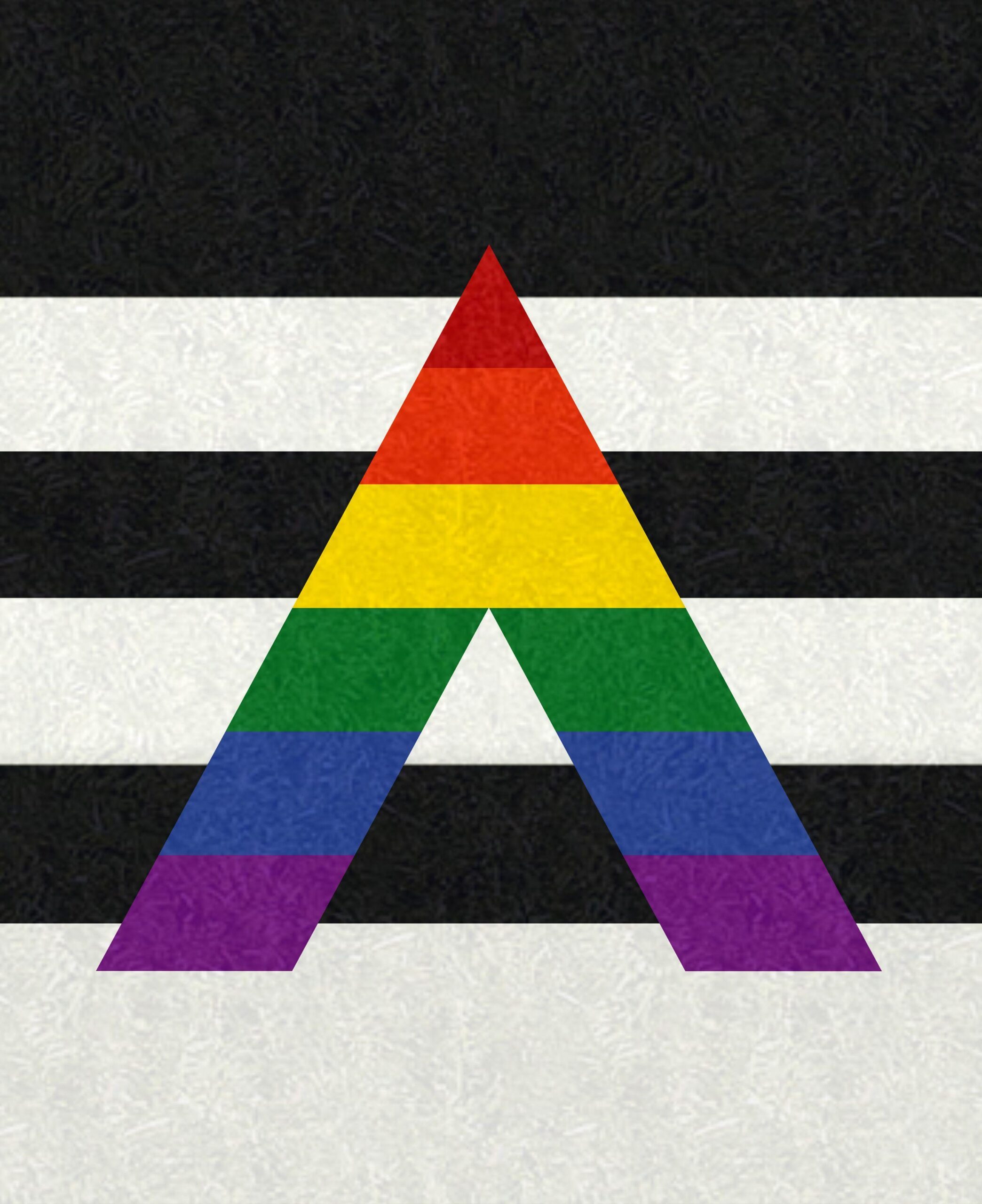 Customizable LGBT Ally Pride Flag. Black and white stripe flag with