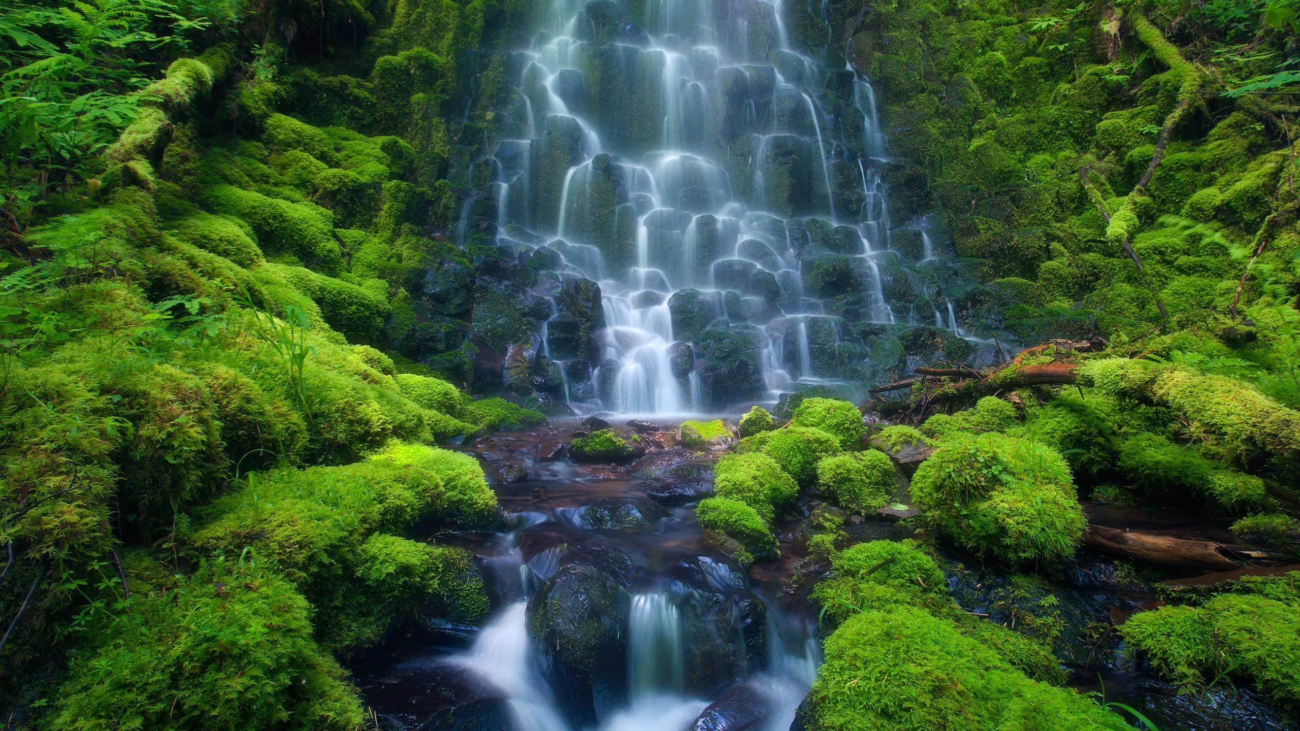 Amazon Rainforest Waterfall HD Wallpapers