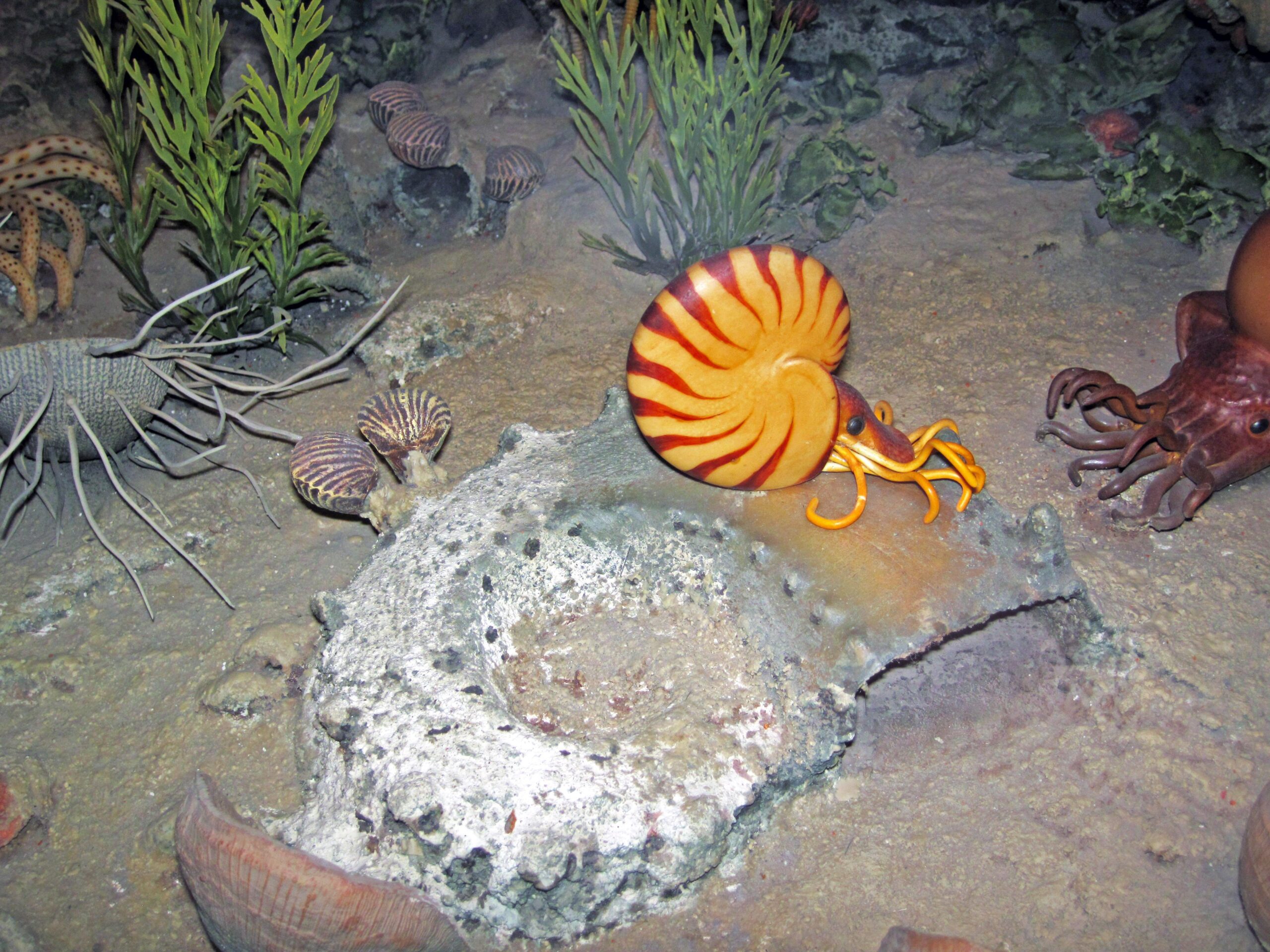 File:Diorama of a Pennsylanian seafloor