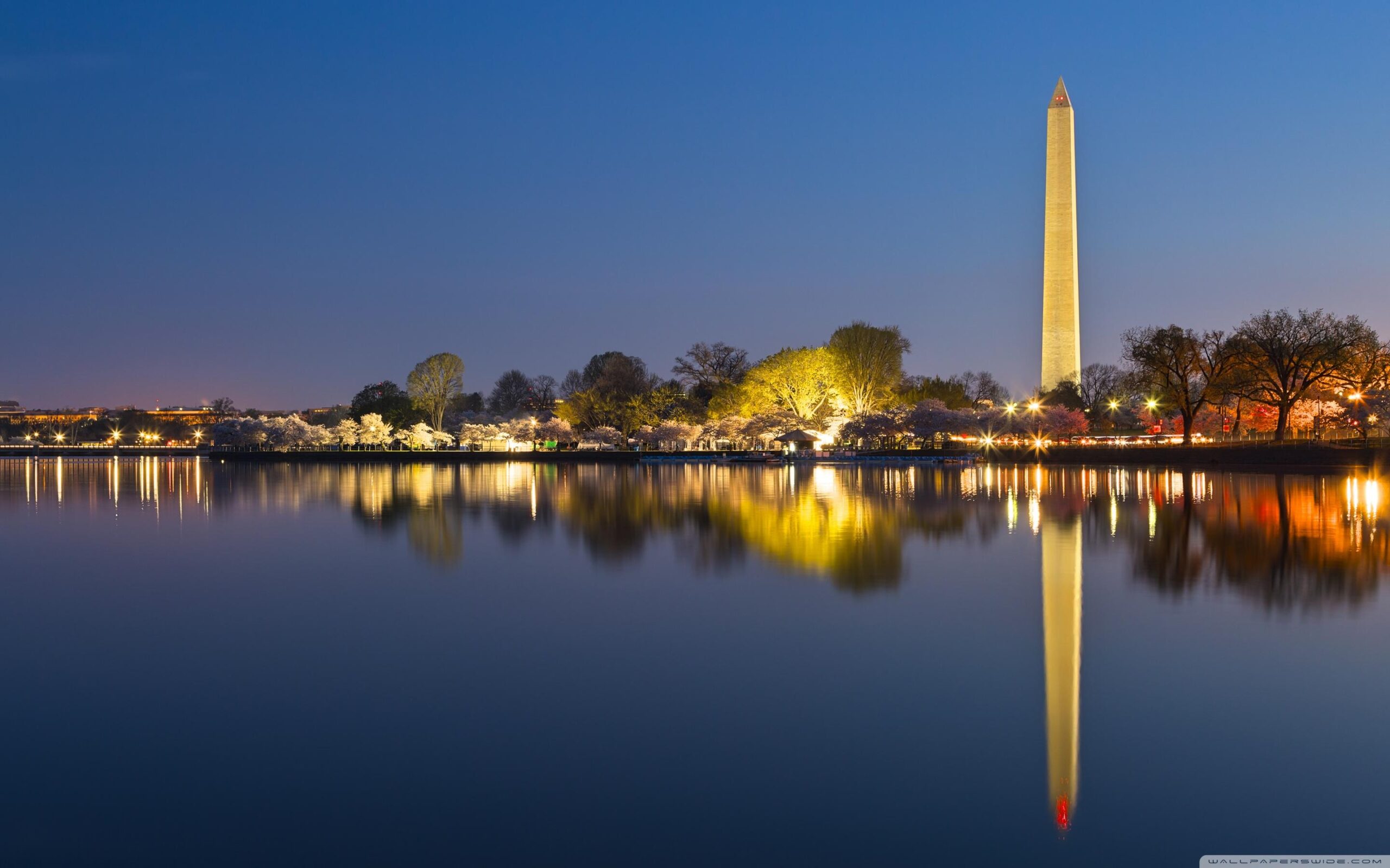 Washington DC Memorials at Night ❤ 4K HD Desktop Wallpapers for 4K